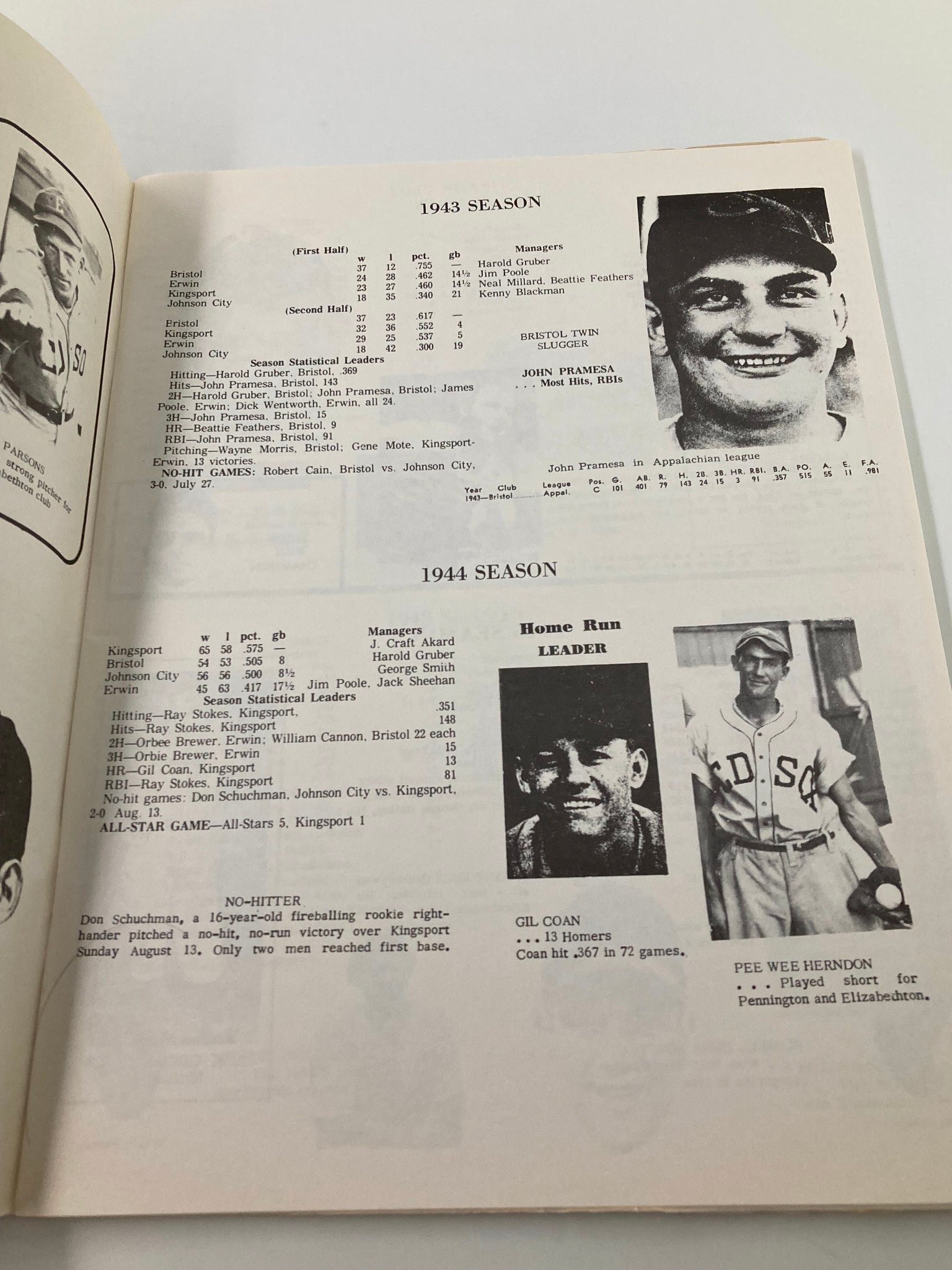 1989 Appalachian League Northern vs Southern Division Record Book