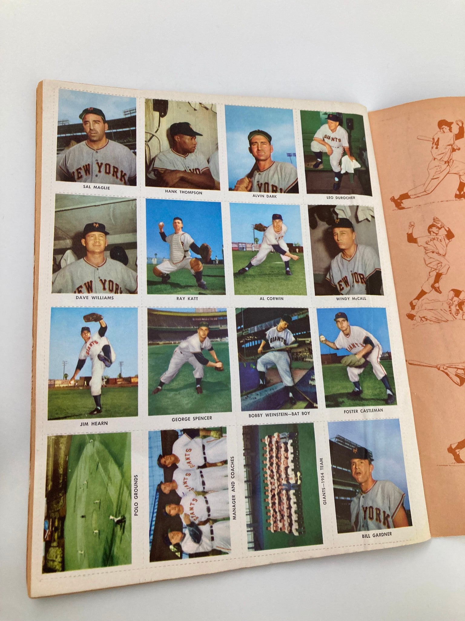 1954 MLB Baseball The Golden Stamp Book of the New York Giants Complete