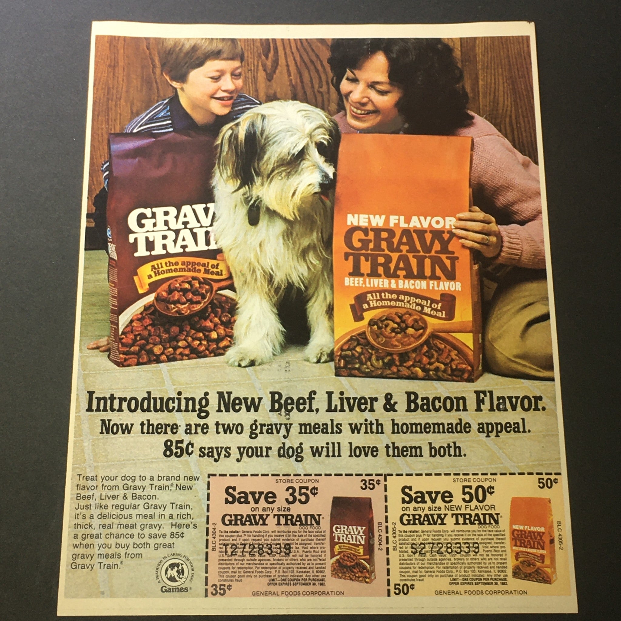 VTG Retro 1982 General Mill's Golden Graham Honey Graham Crackers Ad Coupon