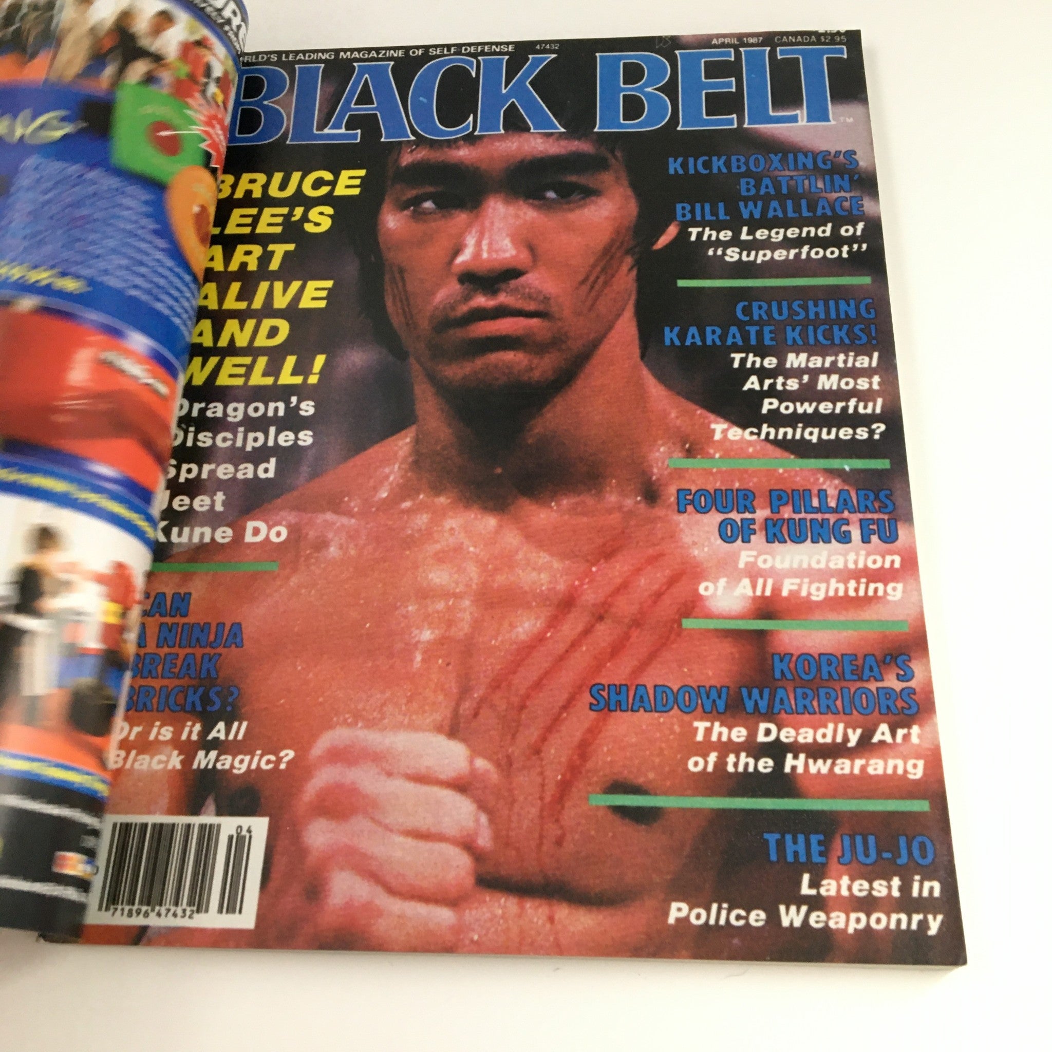 Black Belt Magazine November 2007 Vol 45 #11 Bruce Lee Issue, No Label VG