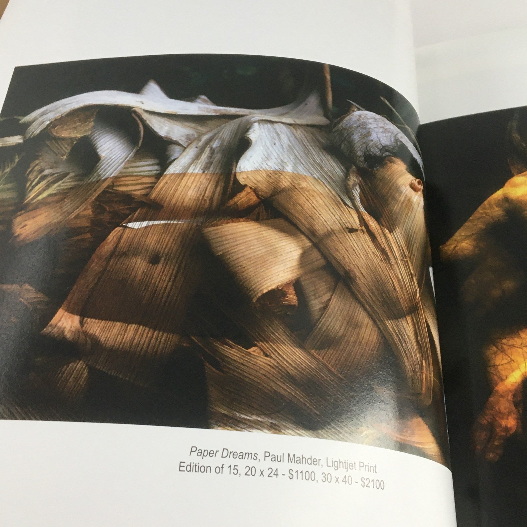 Focus Photography Magazine December 2006, depicting 'Paper Dreams' by Paul Mahler, a detailed lightjet print showcasing textured natural materials.