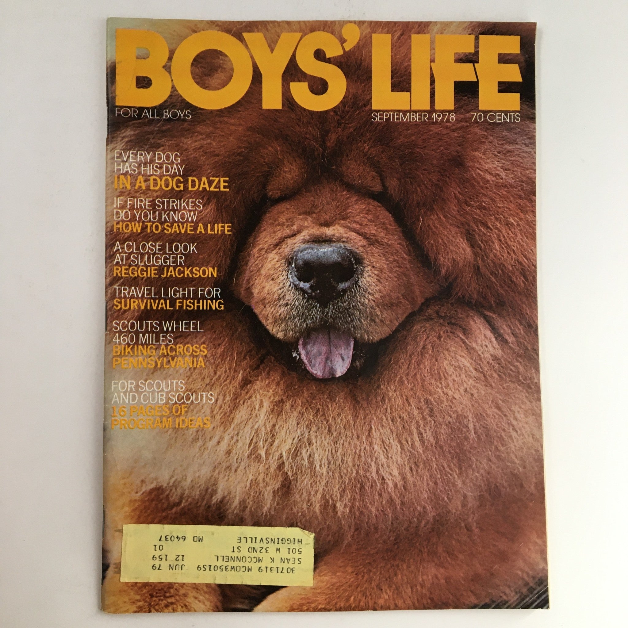 Boys' Life Magazine September 1978 Every Dog Has His Day In A Dog Daze