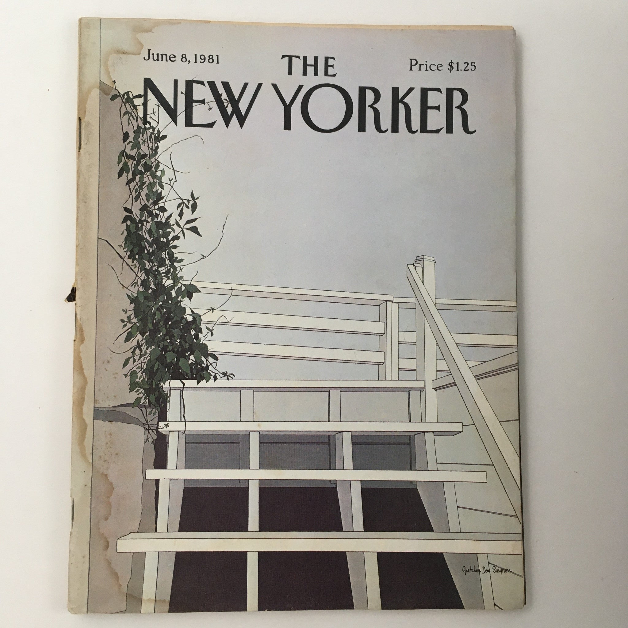 The New Yorker Magazine June 8 1981 Theme Art Cover by Gretchen Dow Simpson