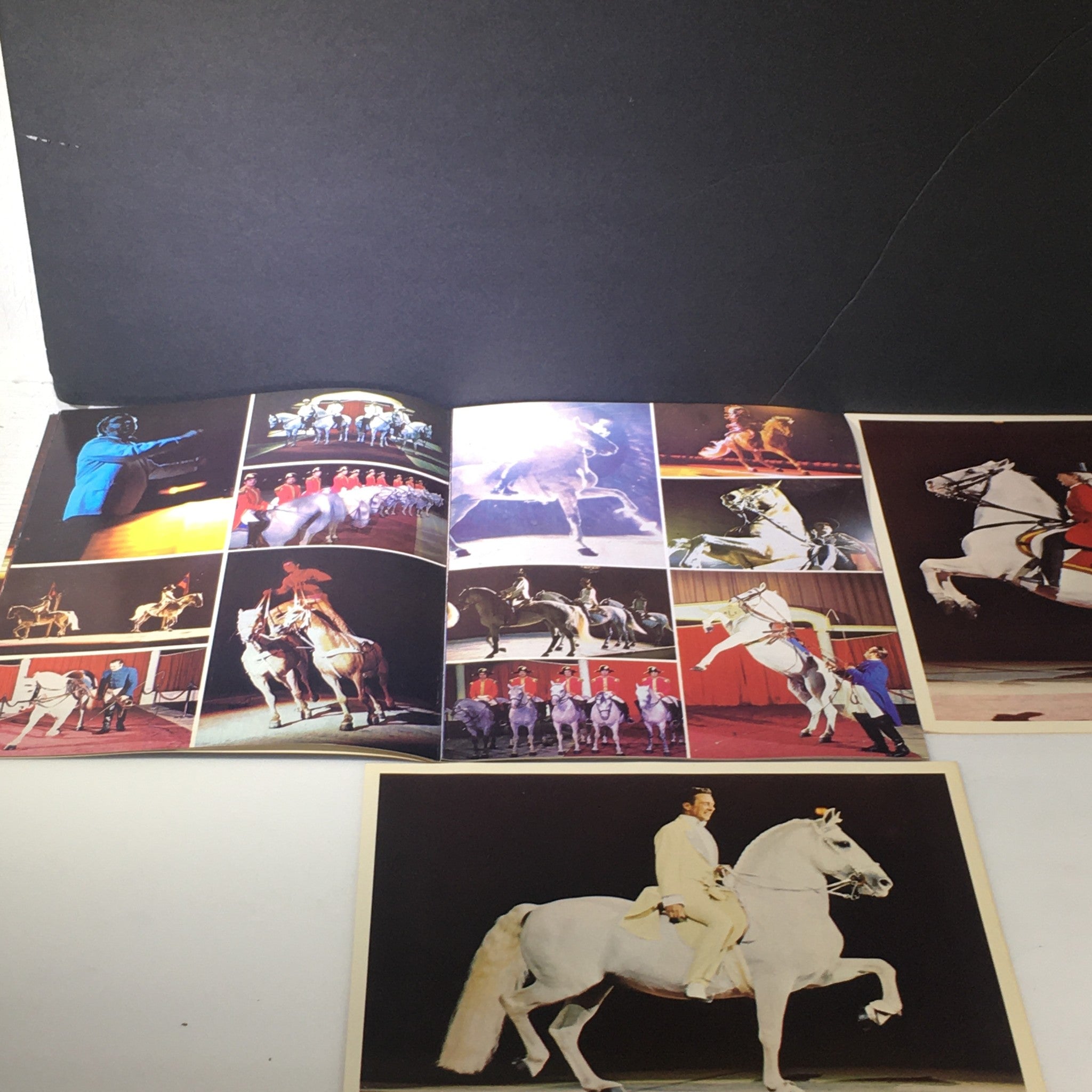 VTG 1974 The Wonderful World of Horses feat. Royal Lipizzan Stallion Show