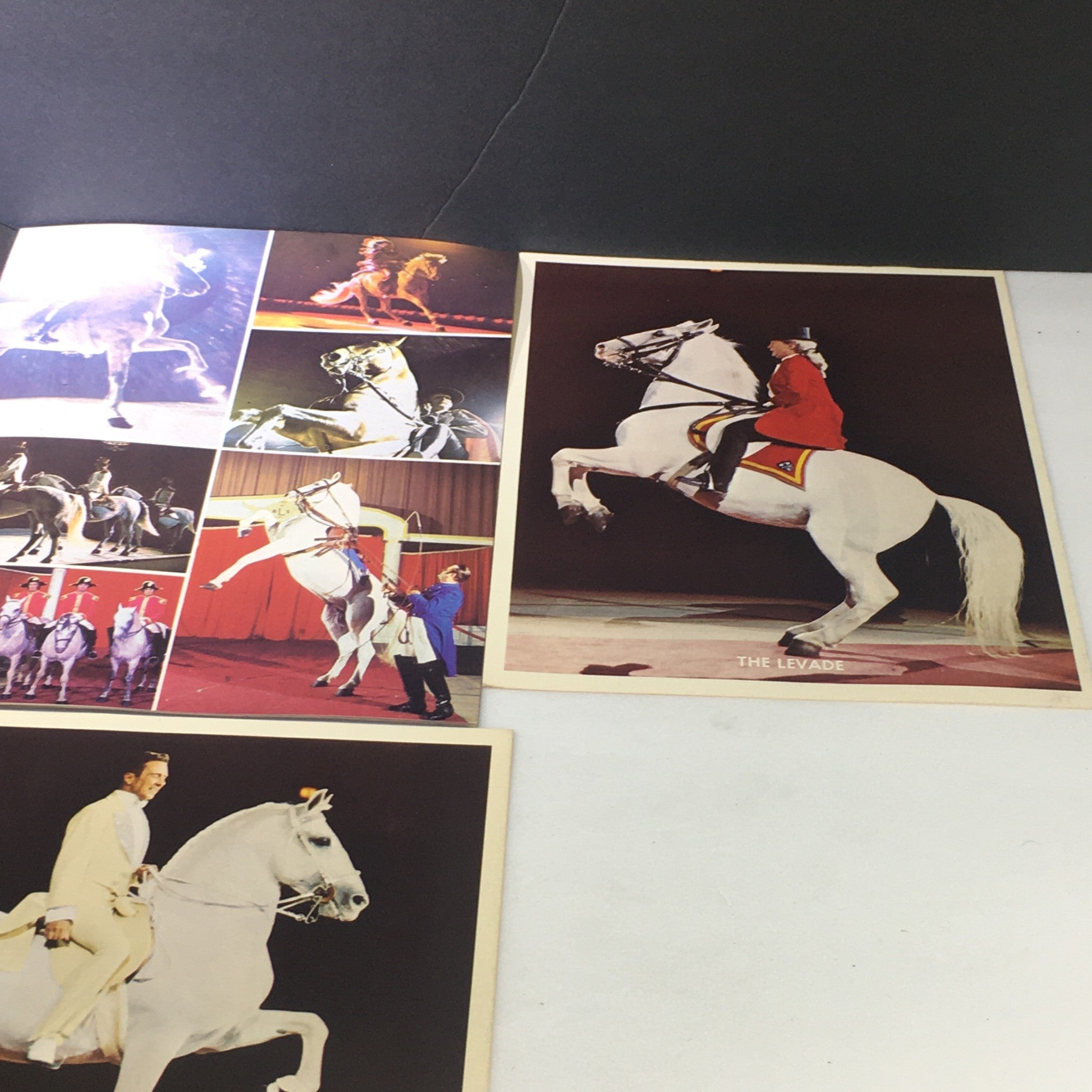 VTG 1974 The Wonderful World of Horses feat. Royal Lipizzan Stallion Show