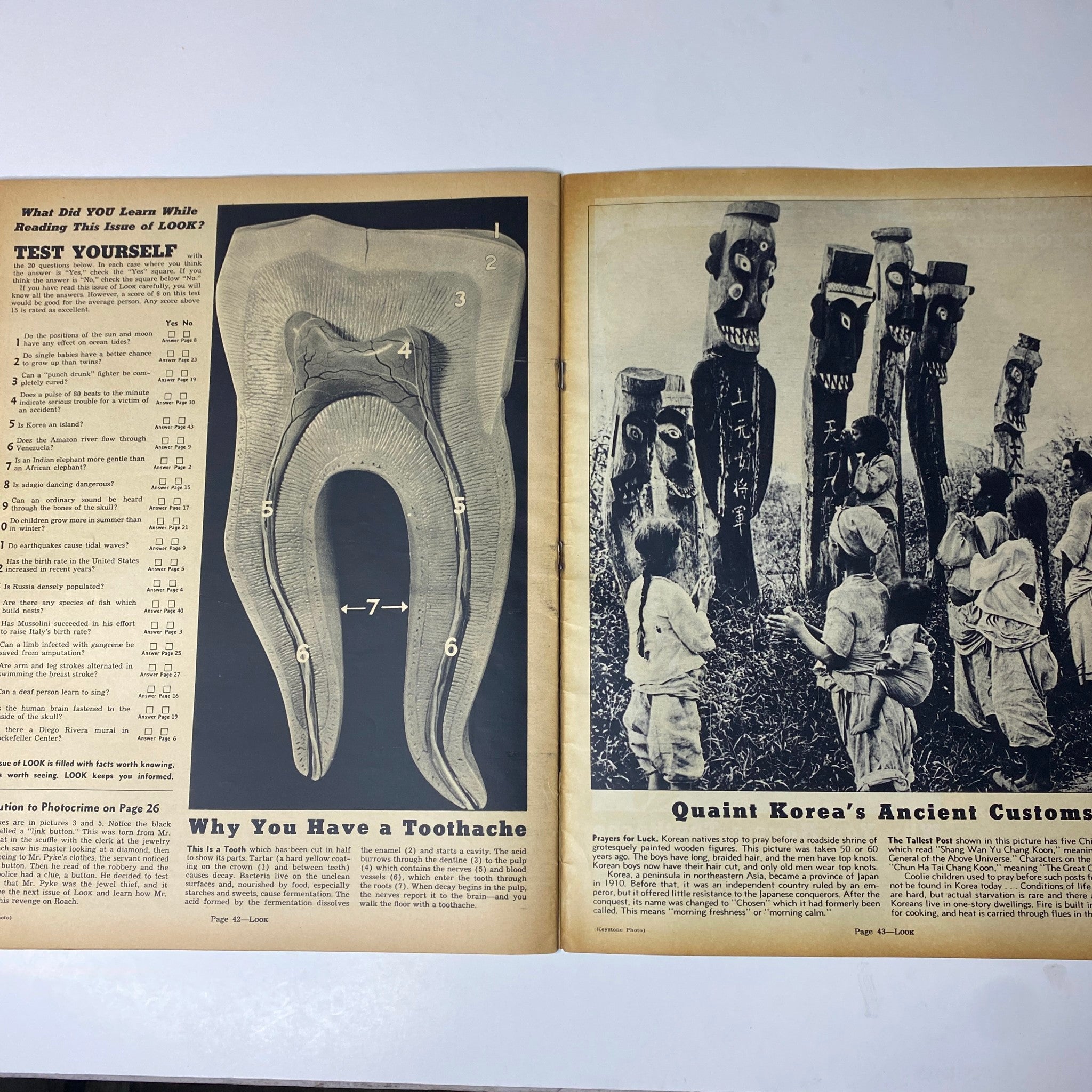 Detailed spread in Look Magazine, August 3, 1937, focusing on dental health and intriguing cultural practices in Korea, blending health education with anthropological insights.