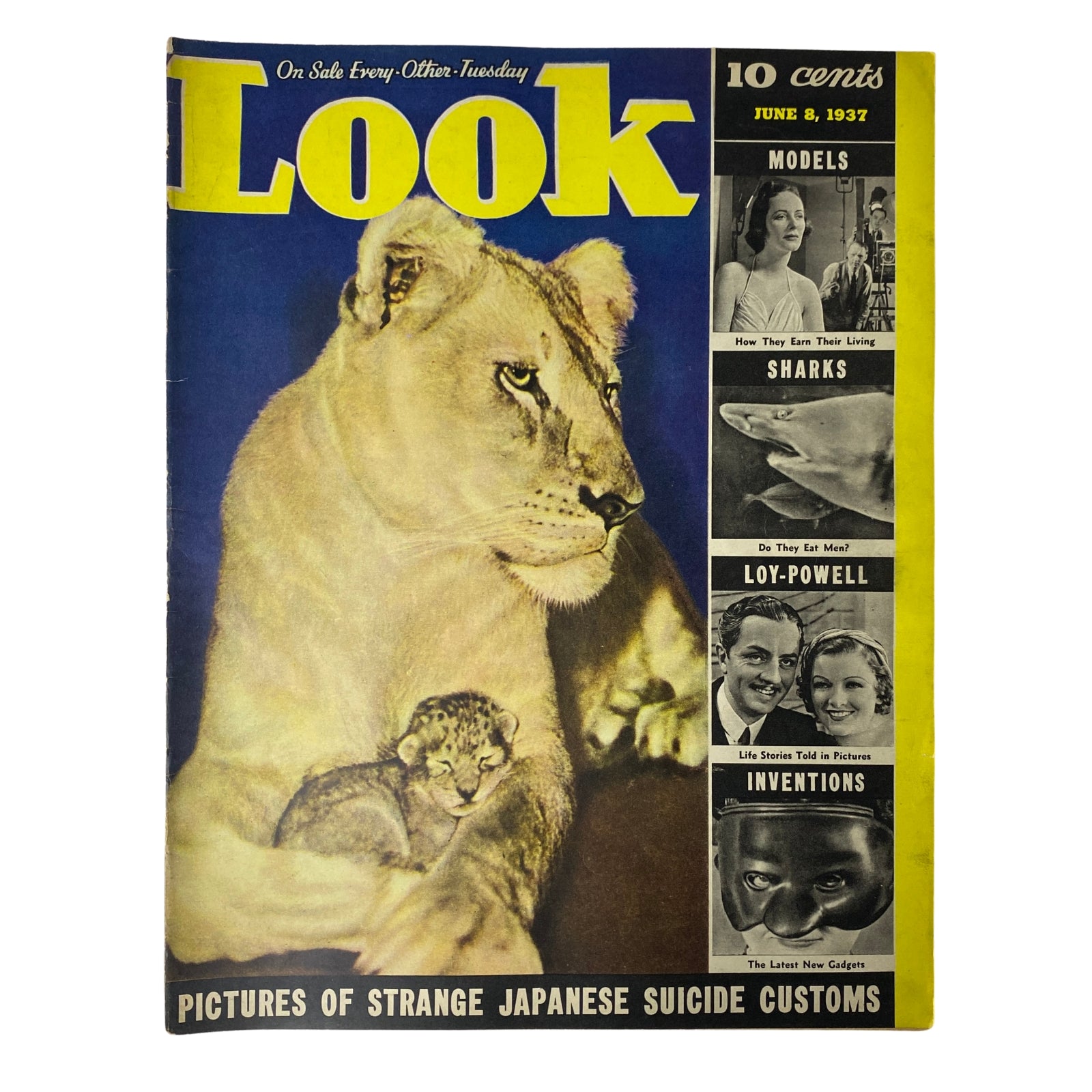 Cover of Look Magazine dated June 8, 1937, featuring a lioness and her cub as well as highlights about William Powell and Myrna Loy. The magazine showcases the glamour of Golden Age Hollywood and is in very good condition.