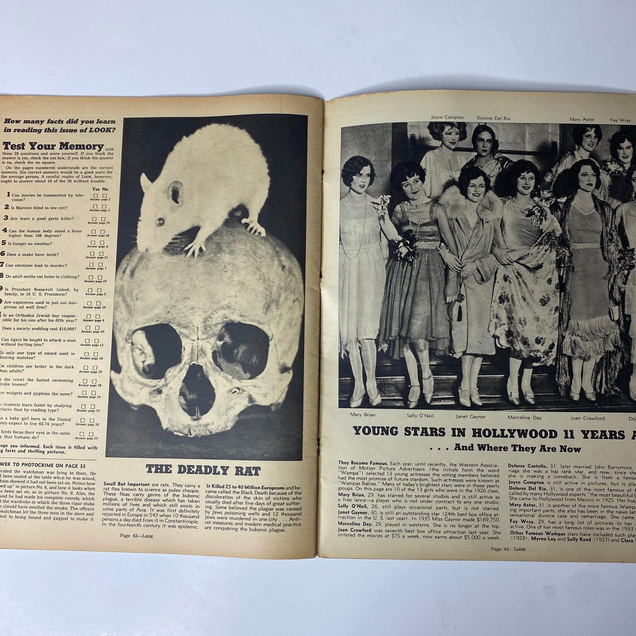 A page from Look Magazine July 6, 1937 displaying an educational segment with a rat on a skull under 'The Deadly Rat' title and a photo of Hollywood stars from 11 years ago, reflecting historical media culture.