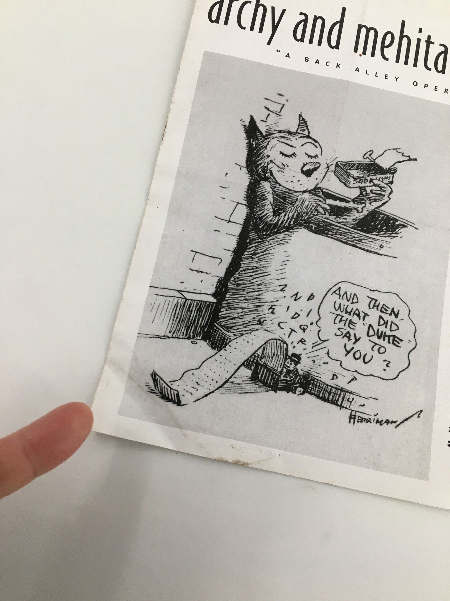 Close-up of the 2001 Shaw Festival program for Archy and Mehitabel, showcasing a humorous illustration of a cat reading with a playful quote, emphasizing its artistic charm and vintage appeal.