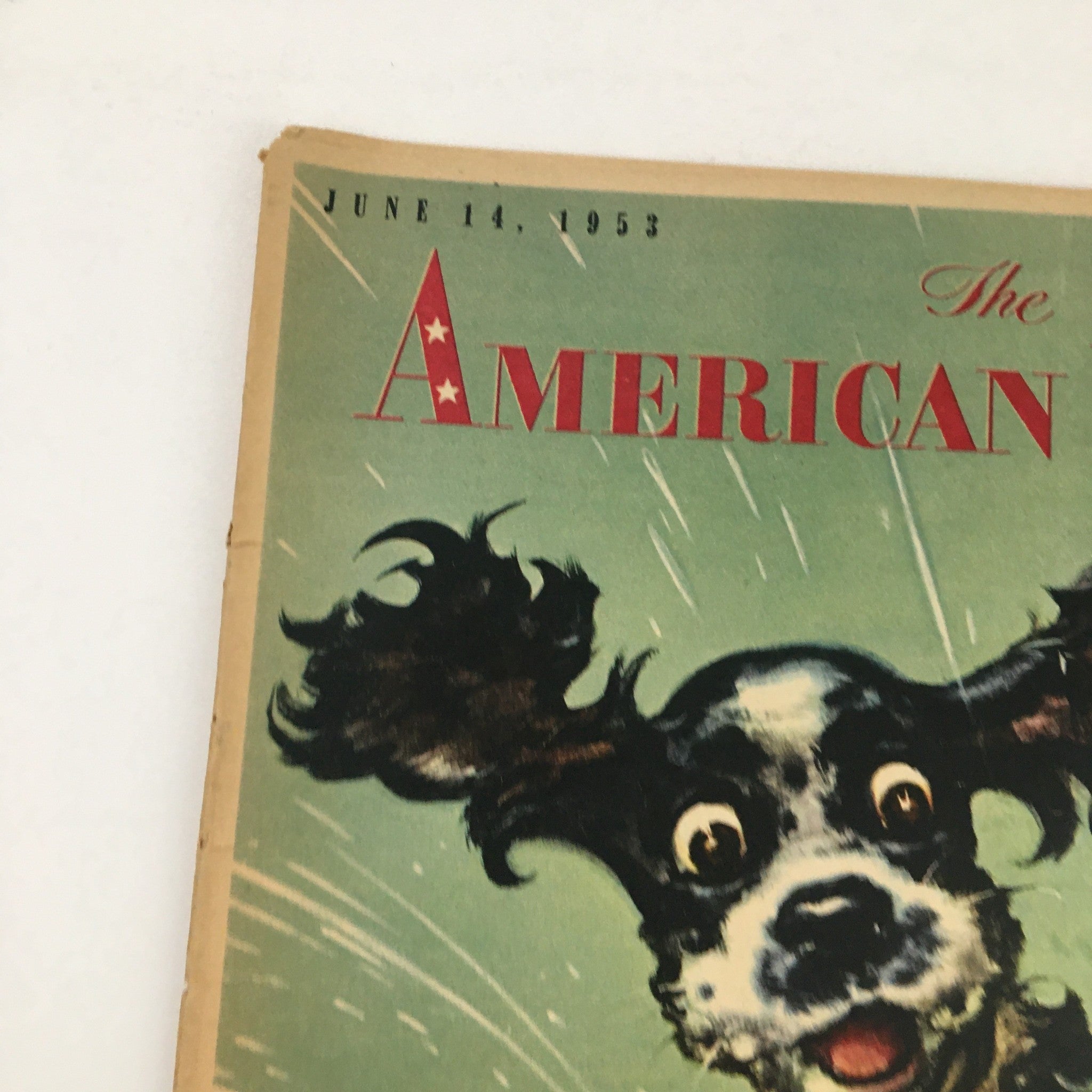 Close-up view of The American Weekly Magazine June 14 1953 cover showcasing a vibrant illustration of a dog in action, highlighting the story 'The Mystery of Mario Lanza'.