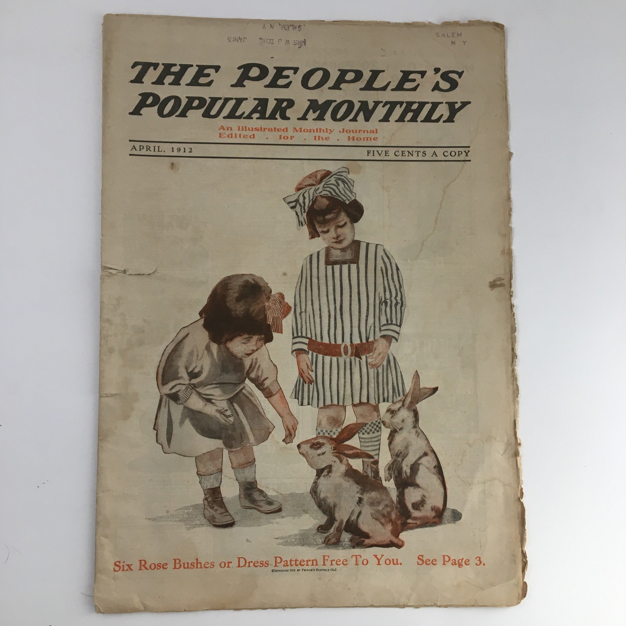 VTG The People's Popular Monthly April 1912 Six Rose Bushes or Dress Pattern