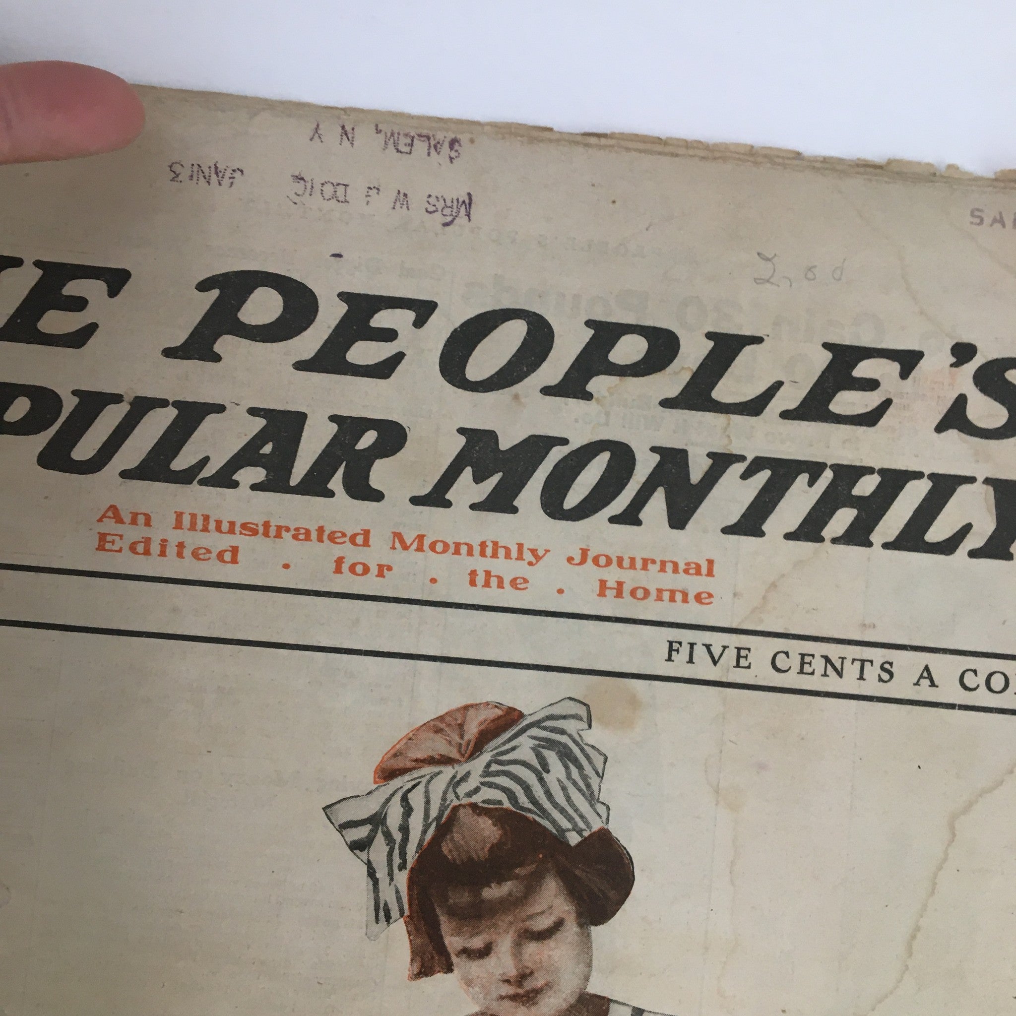 VTG The People's Popular Monthly April 1912 Six Rose Bushes or Dress Pattern