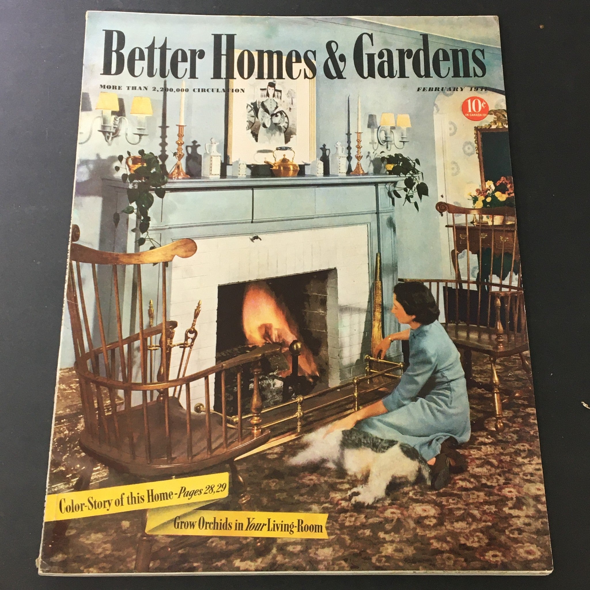 VTG Better Homes & Gardens February 1941 Vol 19 6 Let Your Rock Garden Go Native