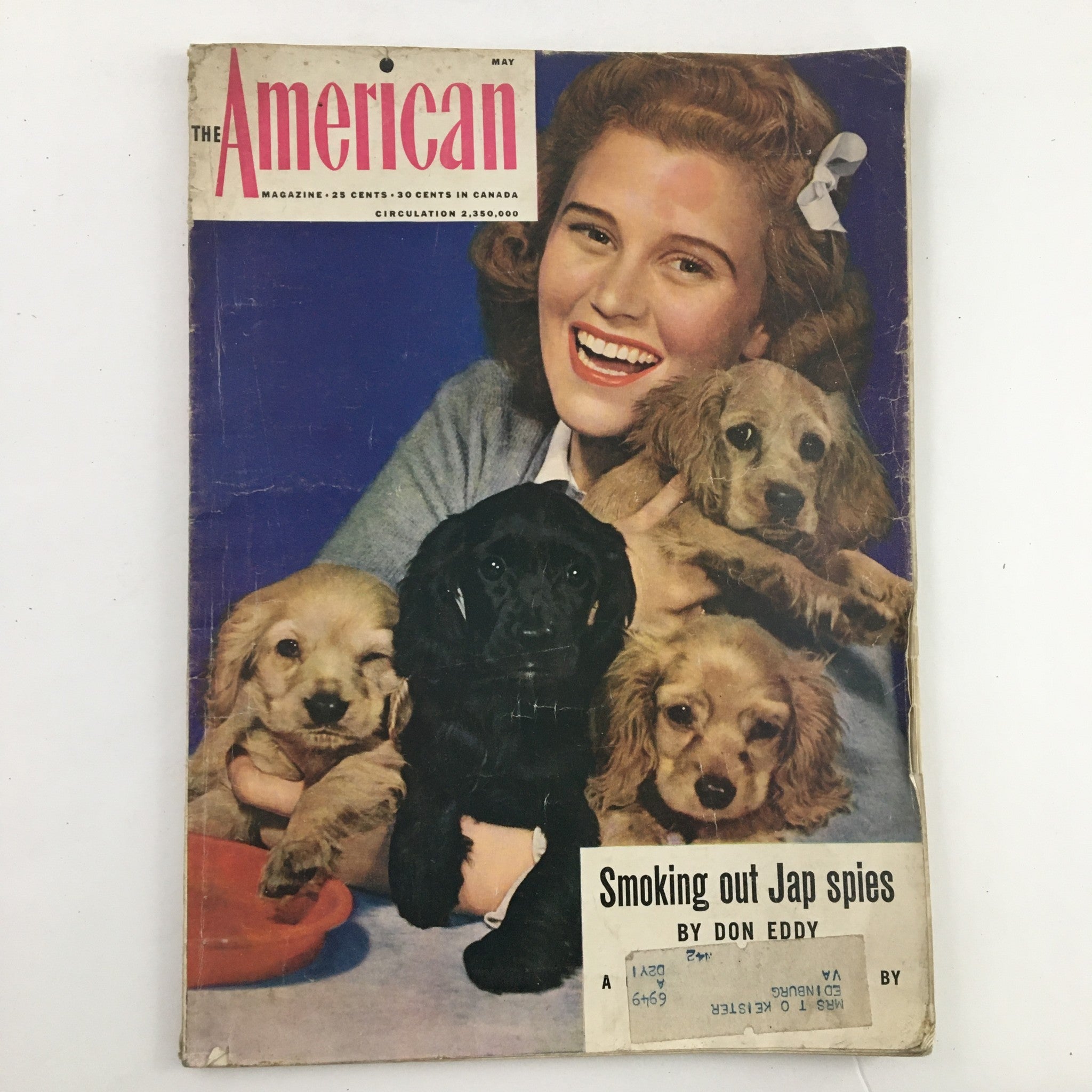 The American Magazine May 1942 Joan Caulfield & Cocker Spaniel Puppies Cover