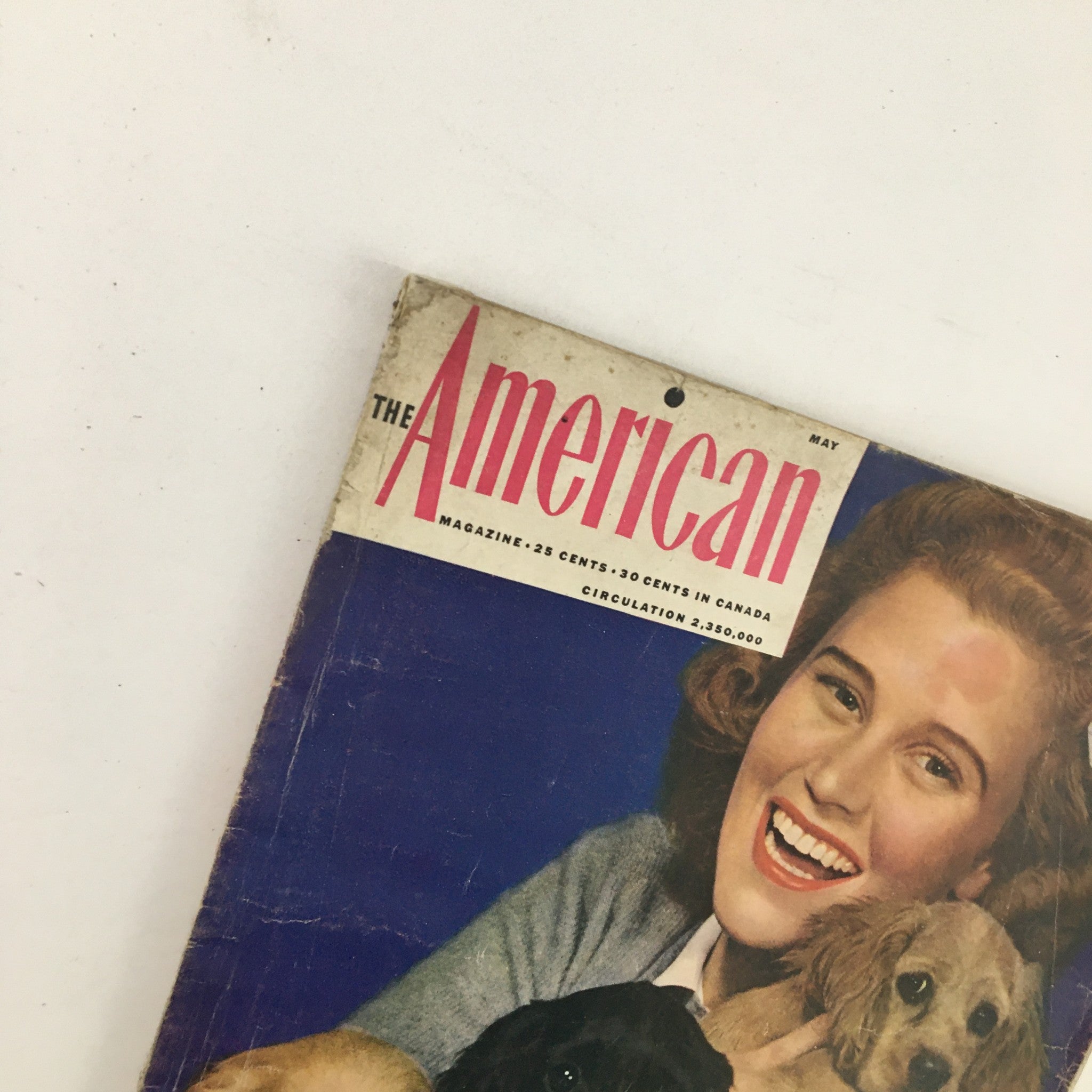 The American Magazine May 1942 Joan Caulfield & Cocker Spaniel Puppies Cover