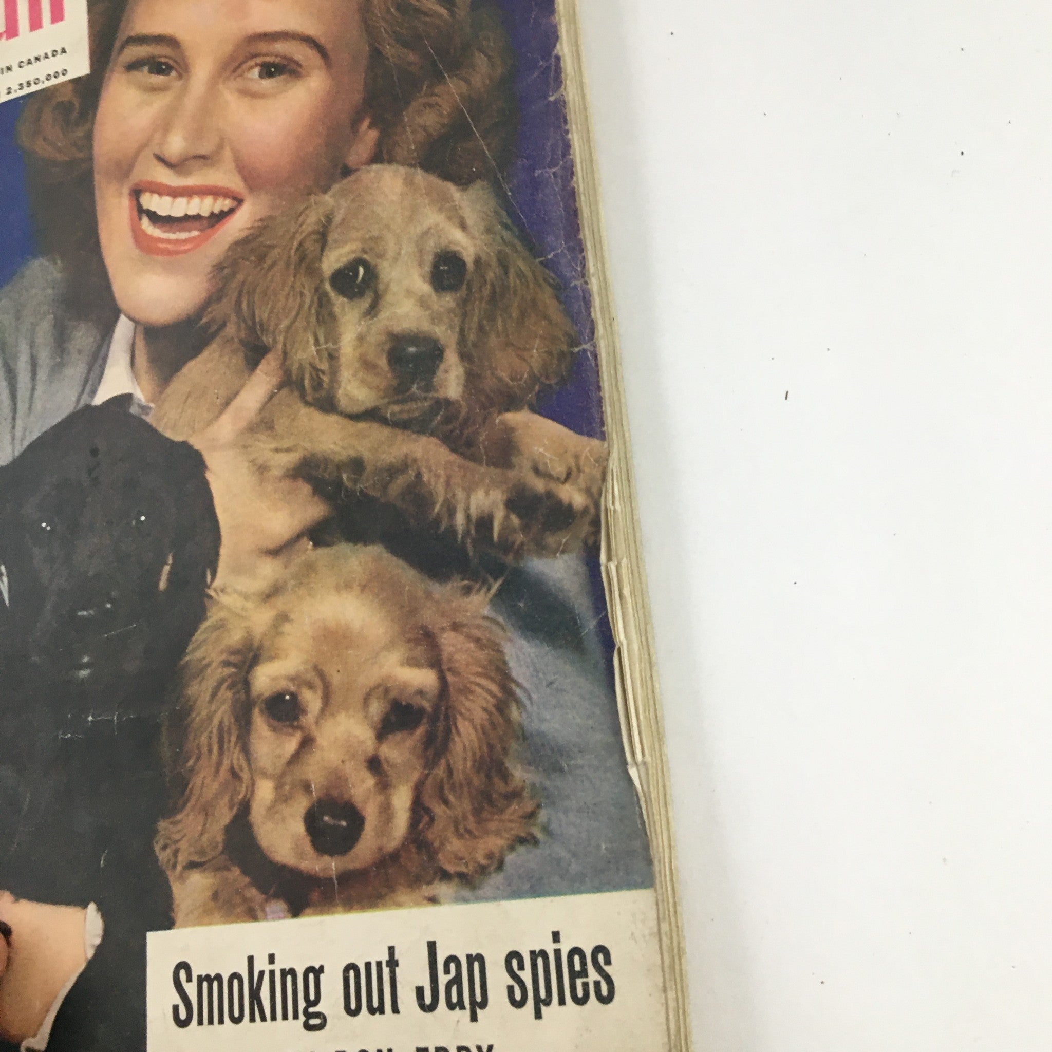 The American Magazine May 1942 Joan Caulfield & Cocker Spaniel Puppies Cover