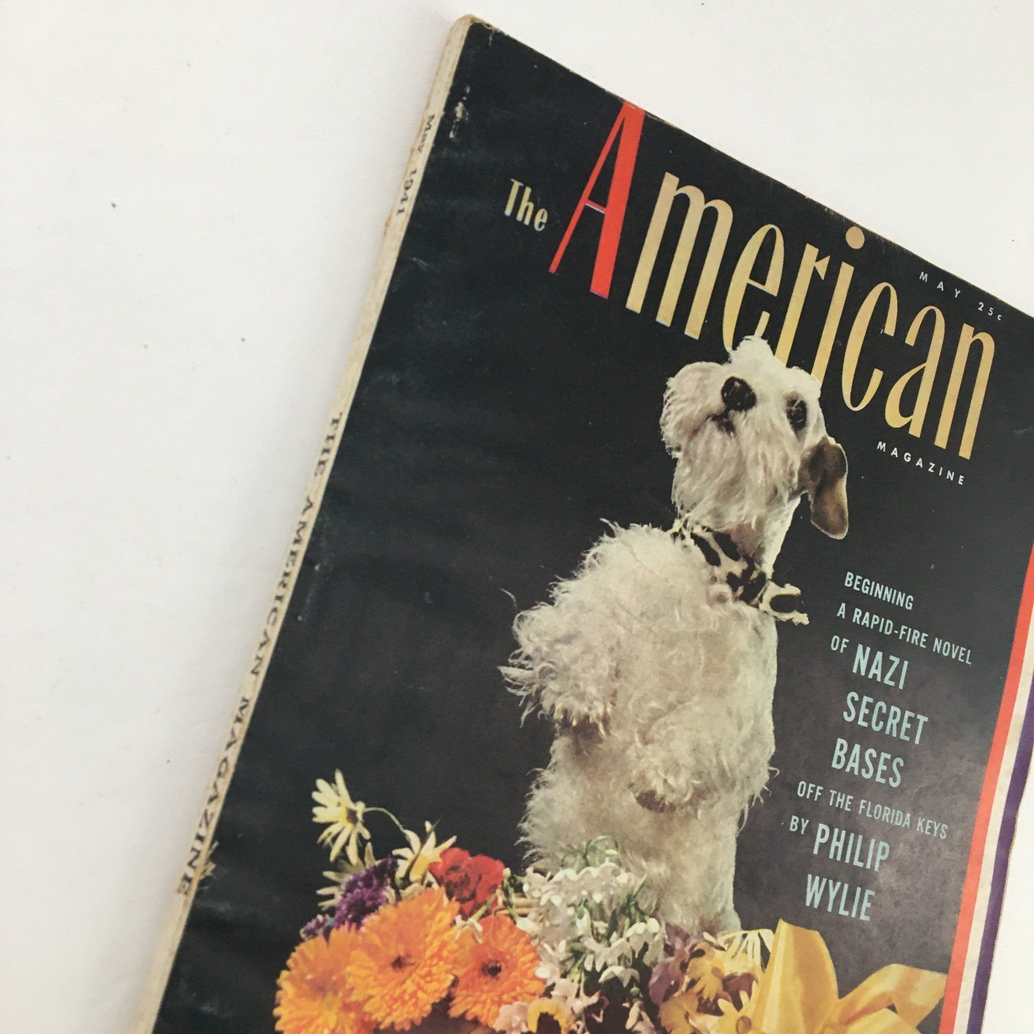 The American Magazine May 1941 A Rapid-Fire Novel of Nazi Secrets Bases