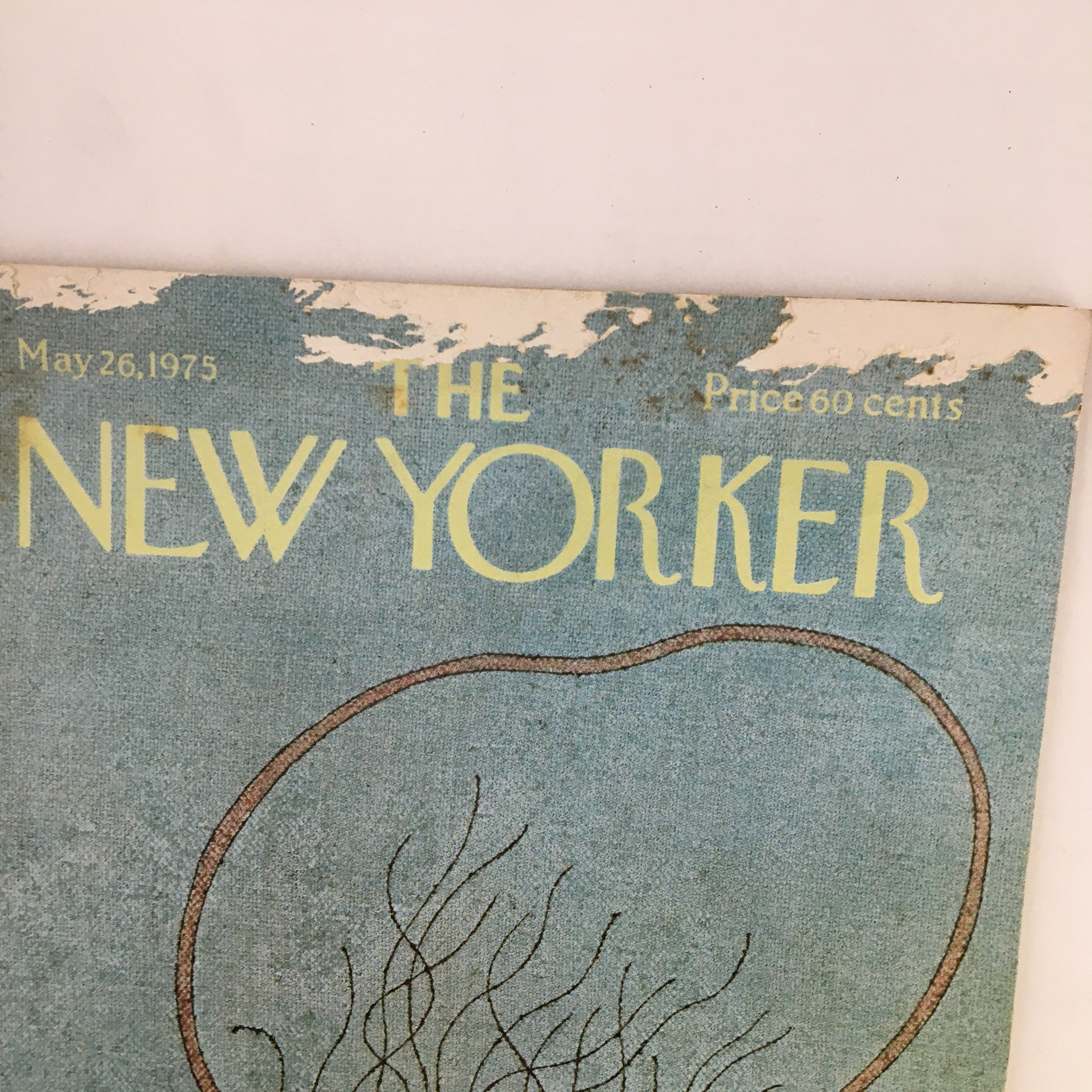 The New Yorker Magazine May 26 1975 Little Girl & Jumping Rope by Robert Tallon