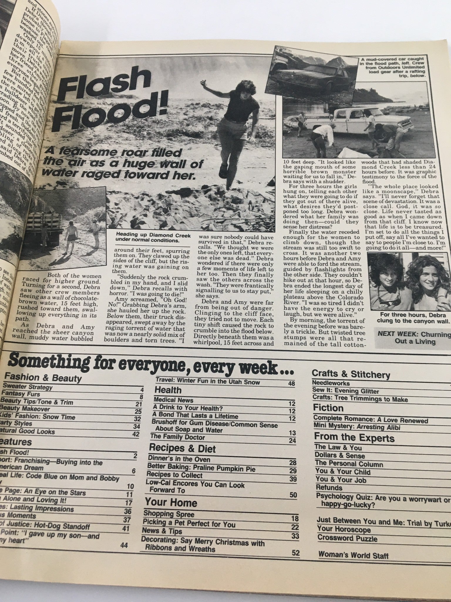 Woman's World Magazine November 27 1984 Choosing A Family Pet No Label