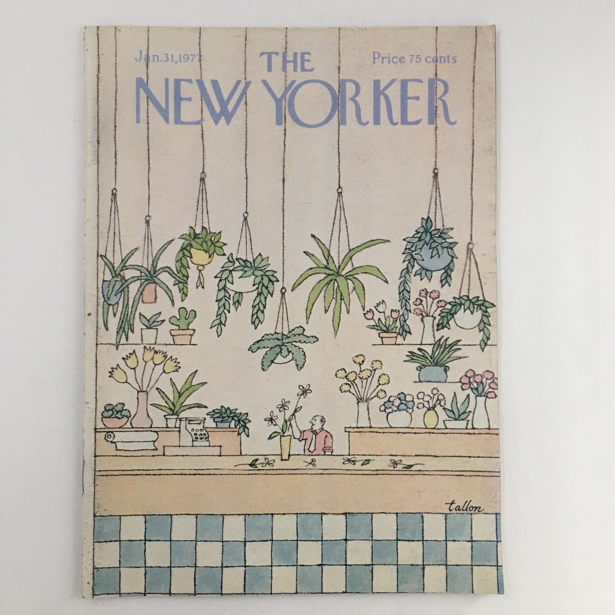 The New Yorker Magazine January 31 1977 Hanging Plants by Robert Tallon No Label