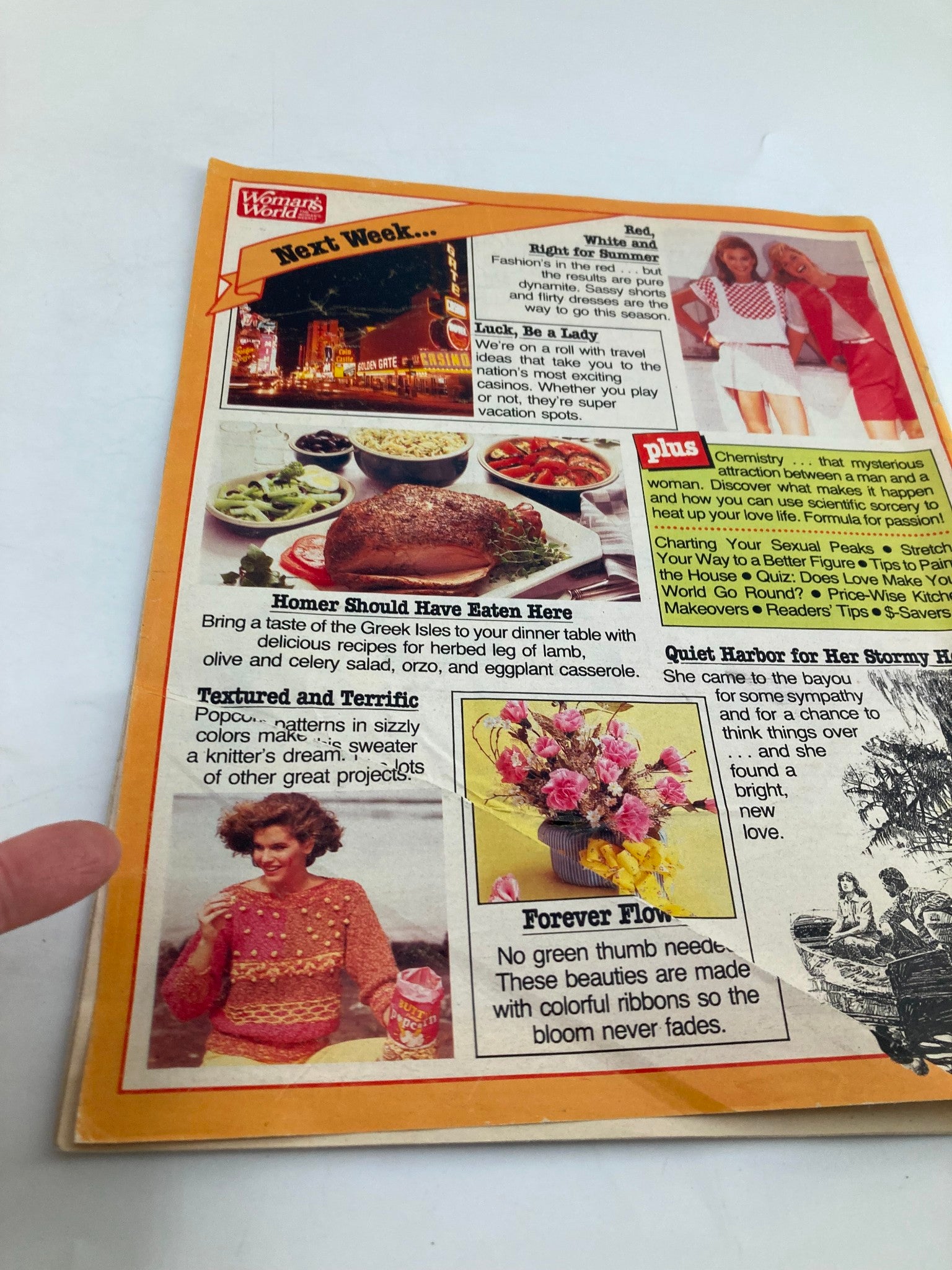 Woman's World Magazine April 17 1984 How To Be A Better Microwave Chef No Label