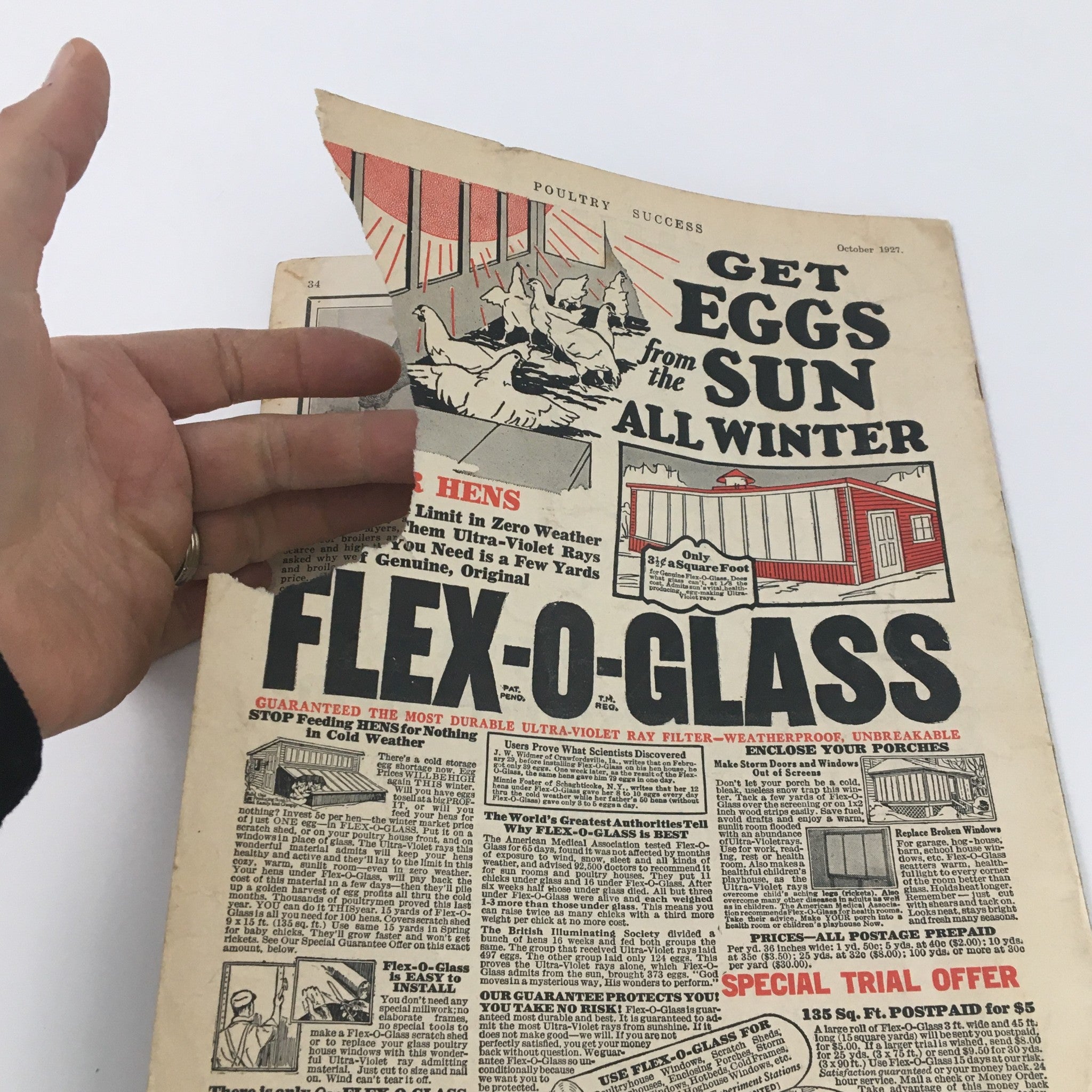 Close-up of the cover page of VTG Poultry Success Magazine October 1927 with an image of FLEX-O-GLASS and highlighted special trial offers for poultry farmers.