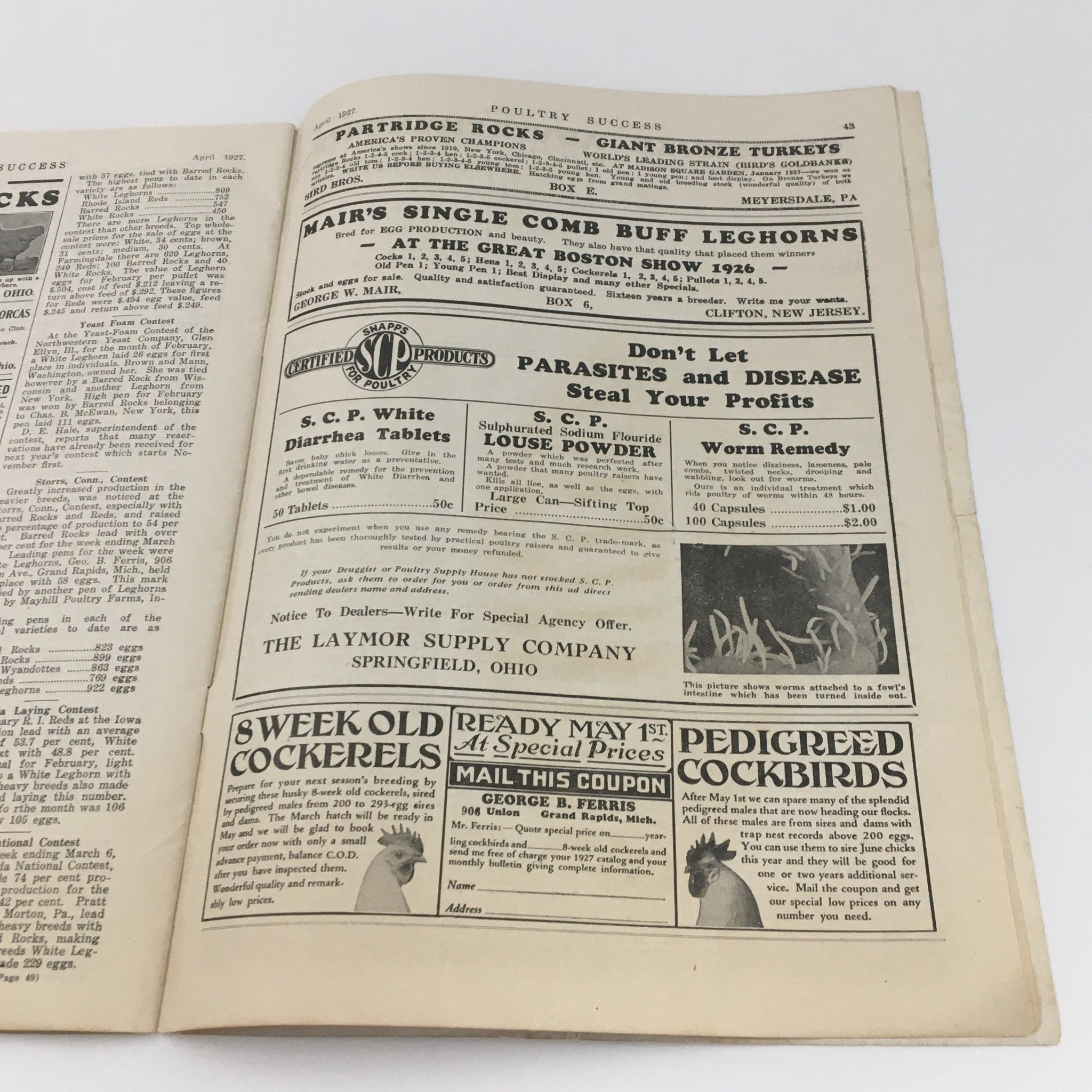 Interior page of VTG Poultry Success Magazine April 1927 displaying advertisements for poultry breeds and supplies, reflecting the vintage appeal.