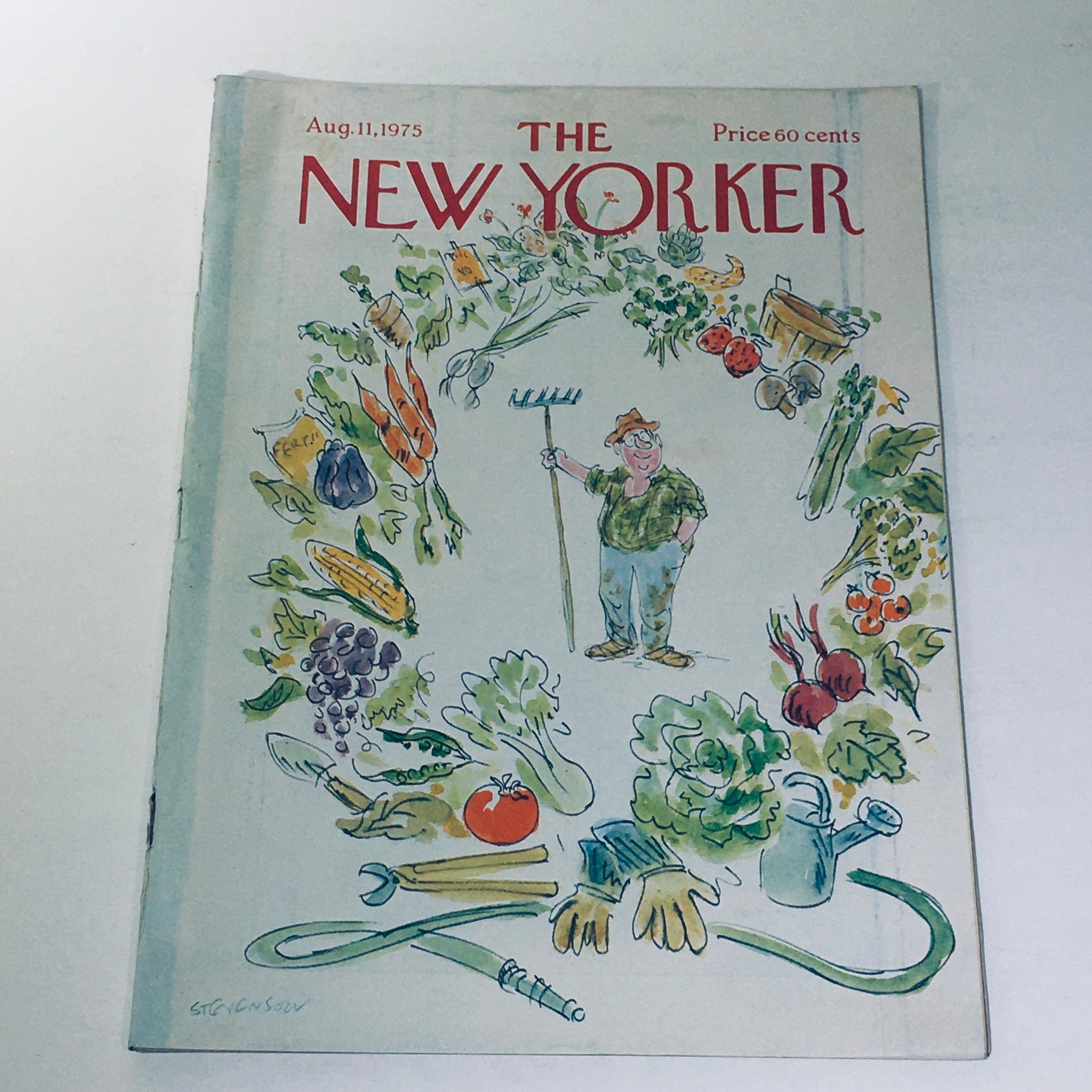 The New Yorker Magazine August 11 1975 Full Theme Cover by James Stevenson