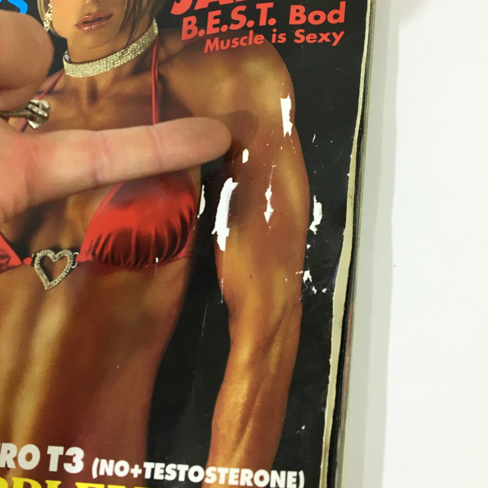 Close-up of the cover of Planet Muscle Magazine November December 2006, showcasing Jamie Best in a red bikini, with visible wear and tear typical for its age.