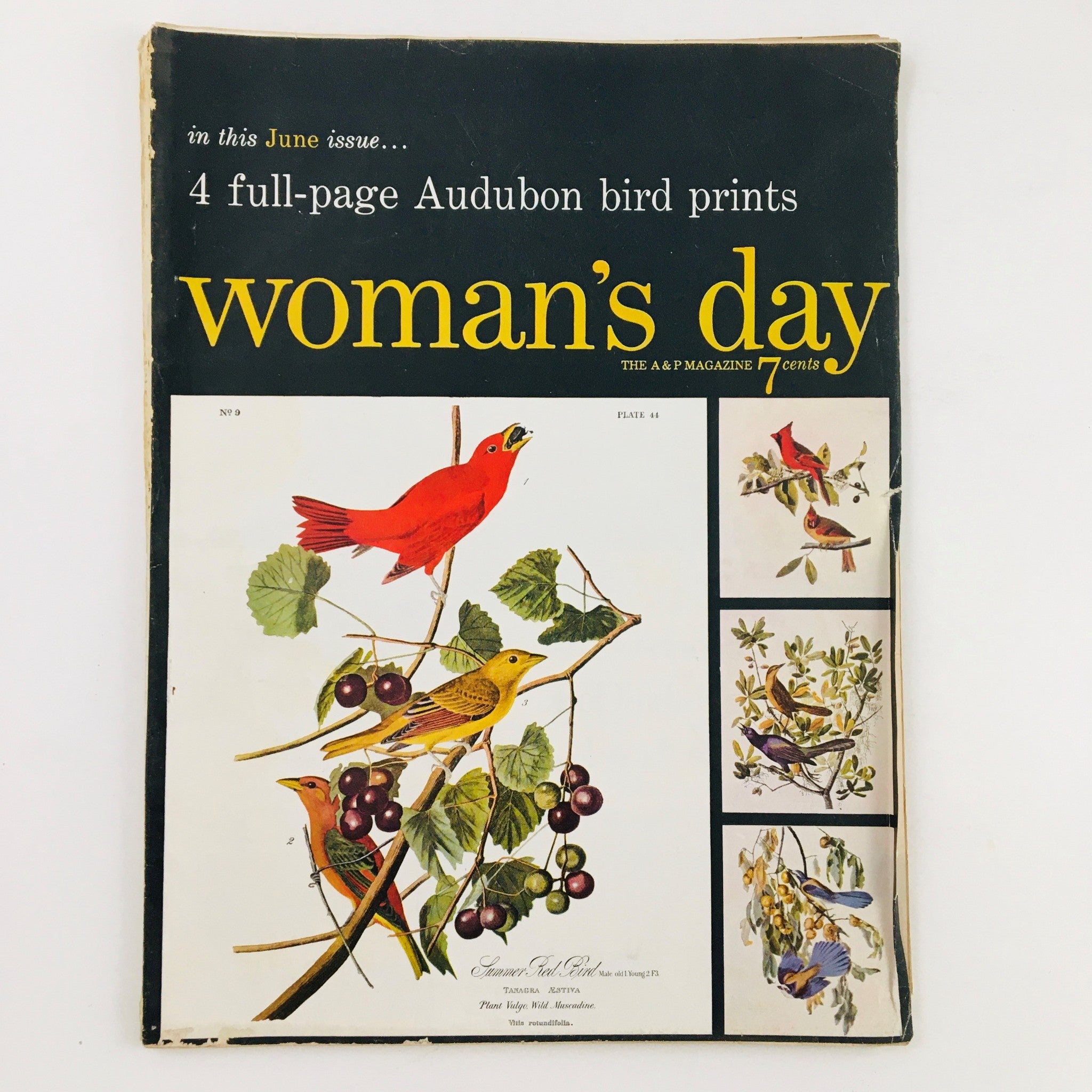 Woman's Day Magazine June 1954 Audubon Bird Prints & Operation Kindness No Label