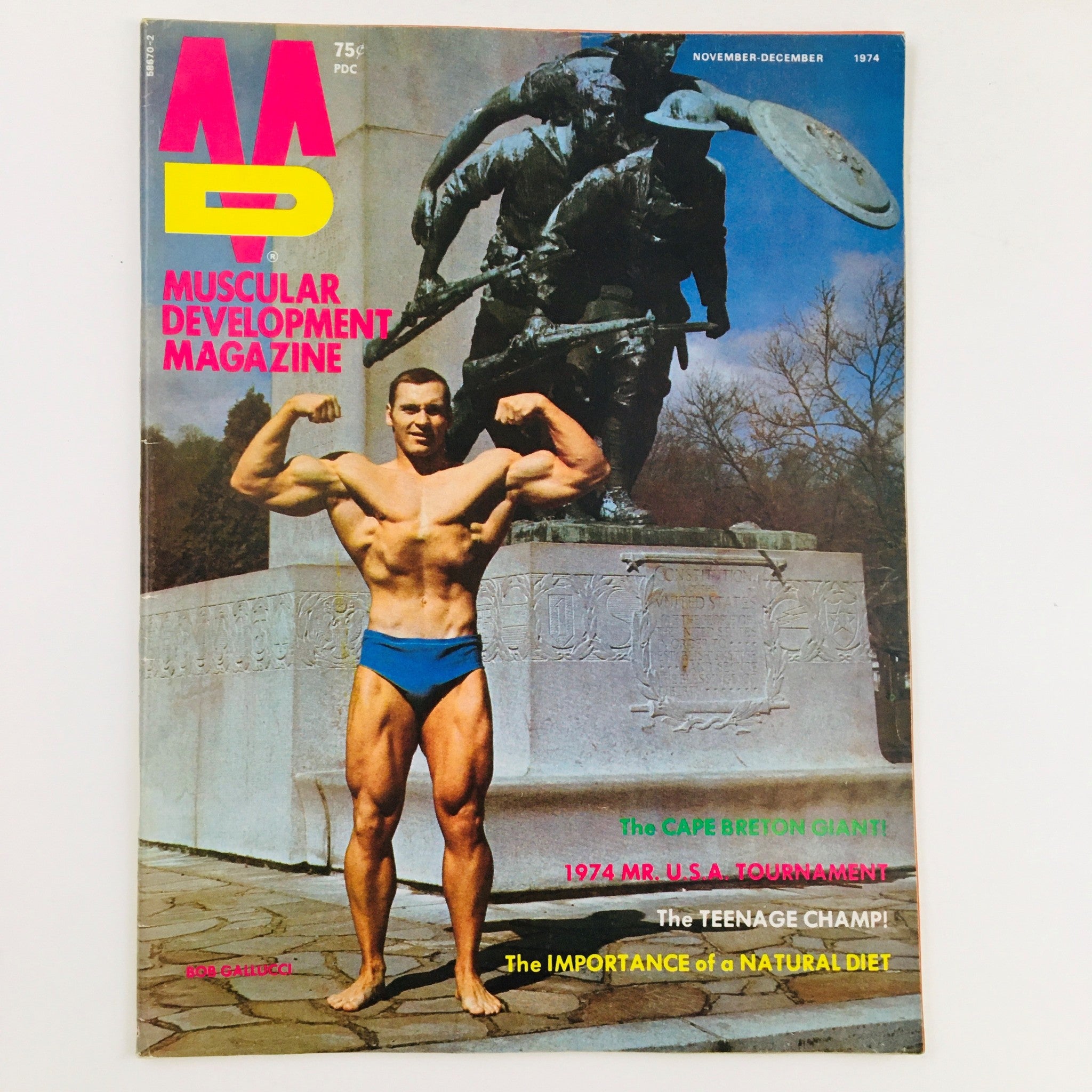 Cover of Muscular Development Magazine from November 1974 featuring a muscular male model in a blue swimsuit showcasing bodybuilding strength, with an iconic statue in the background.
