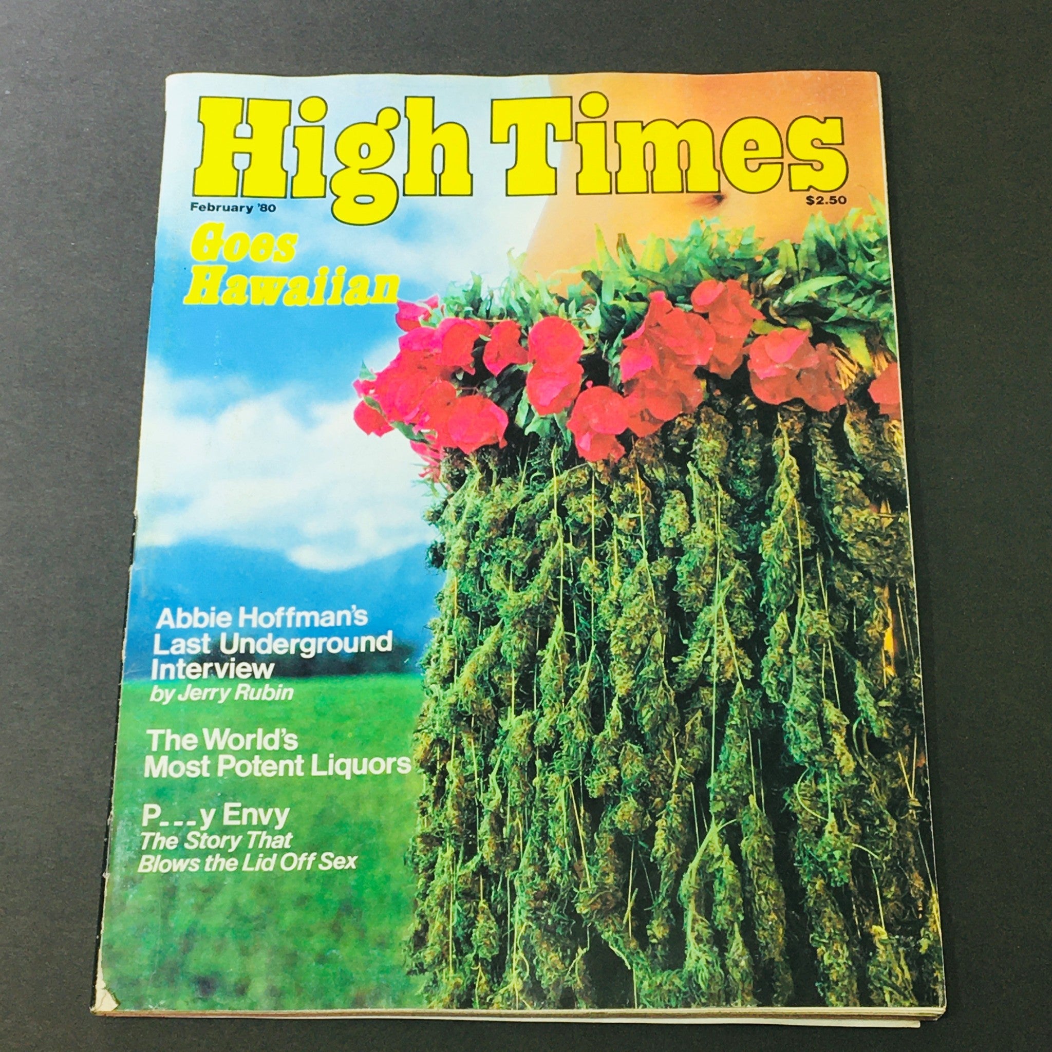 VTG High Times Magazine February 1980 - Abbie Hoffman Last Underground Interview