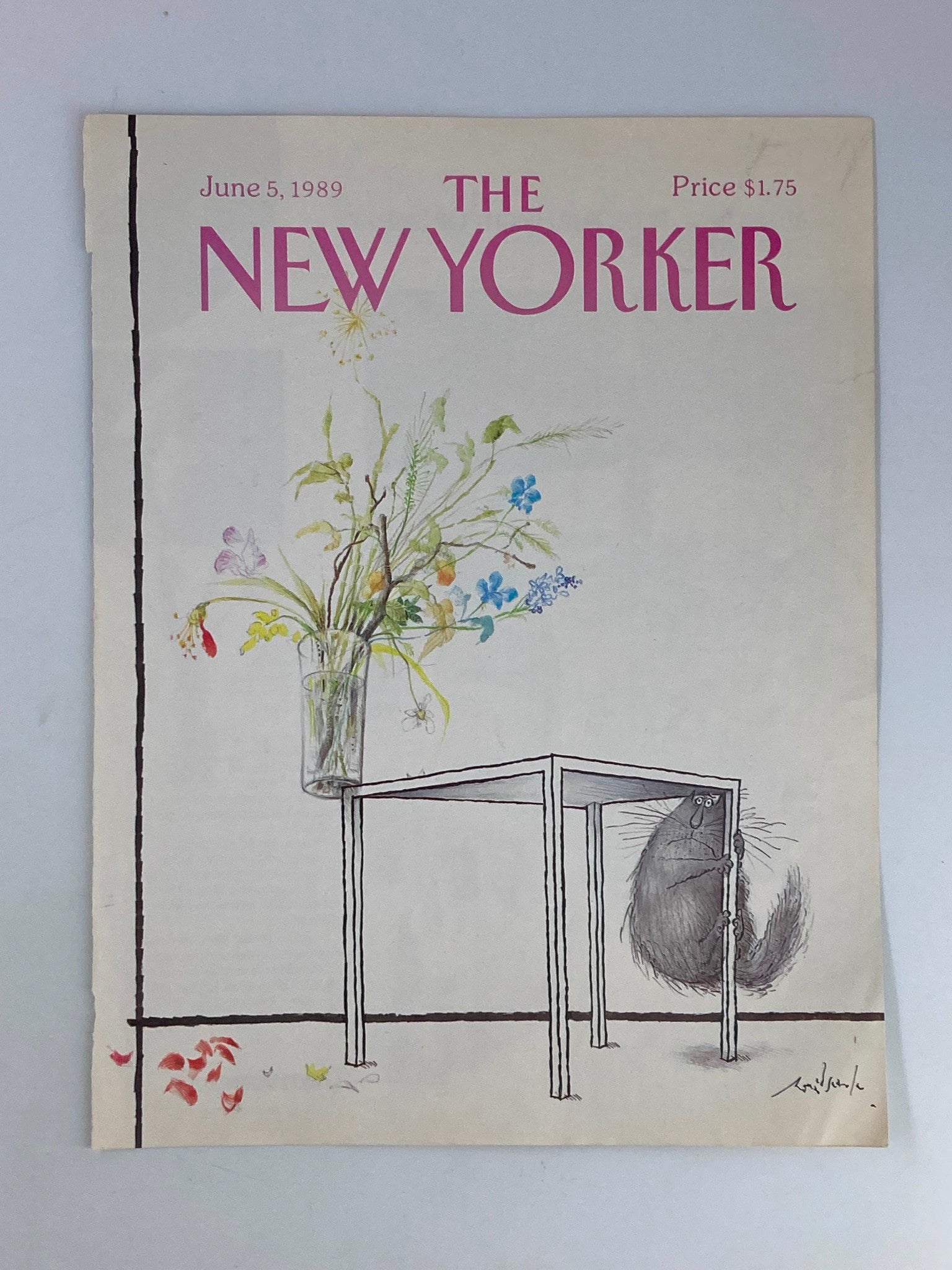 COVER ONLY The New Yorker June 5 1989 Vase at the Edge by Ron Searle