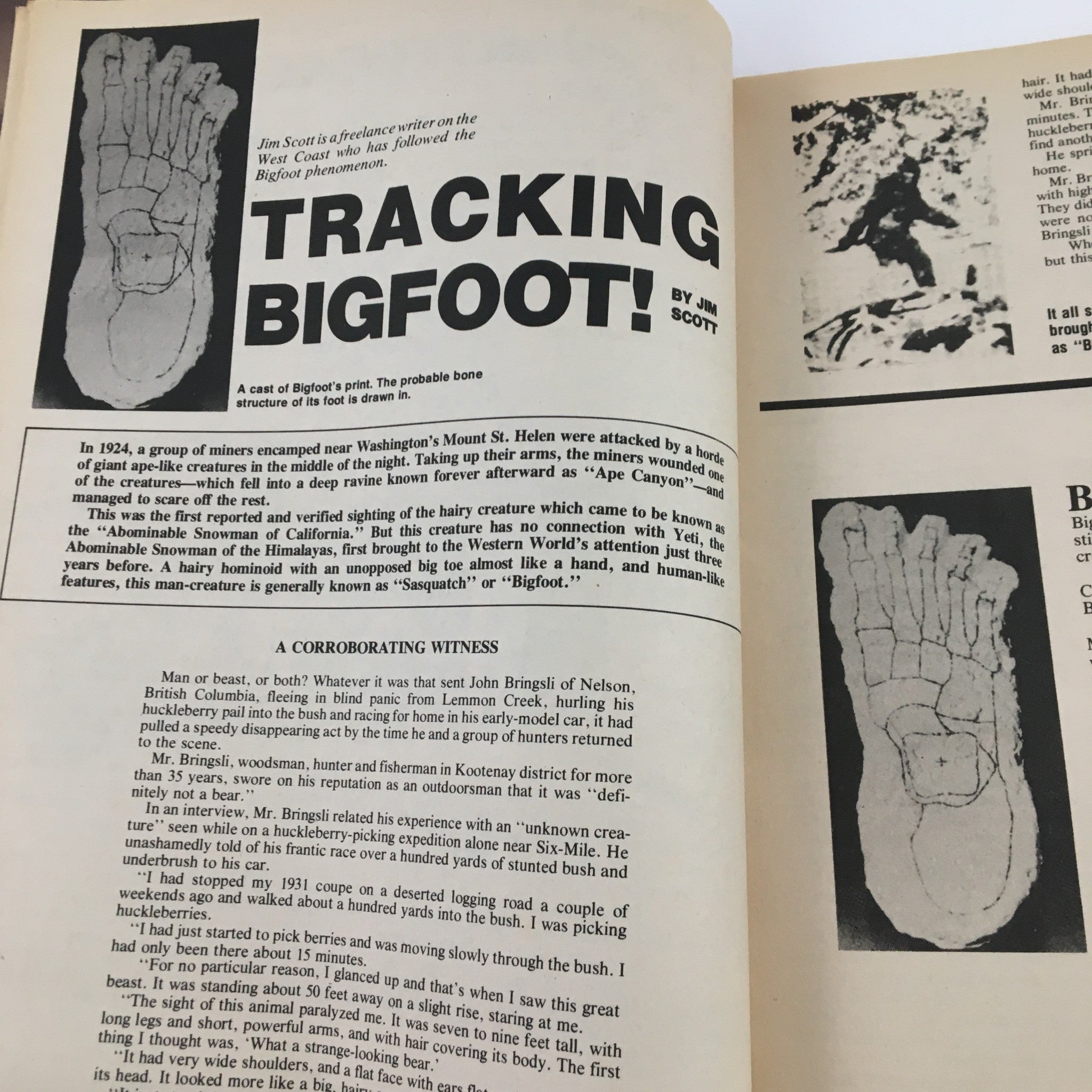 Argosy Special Monsters 1977 Tracking Bigfoot Alaska's Sea Monster No Label