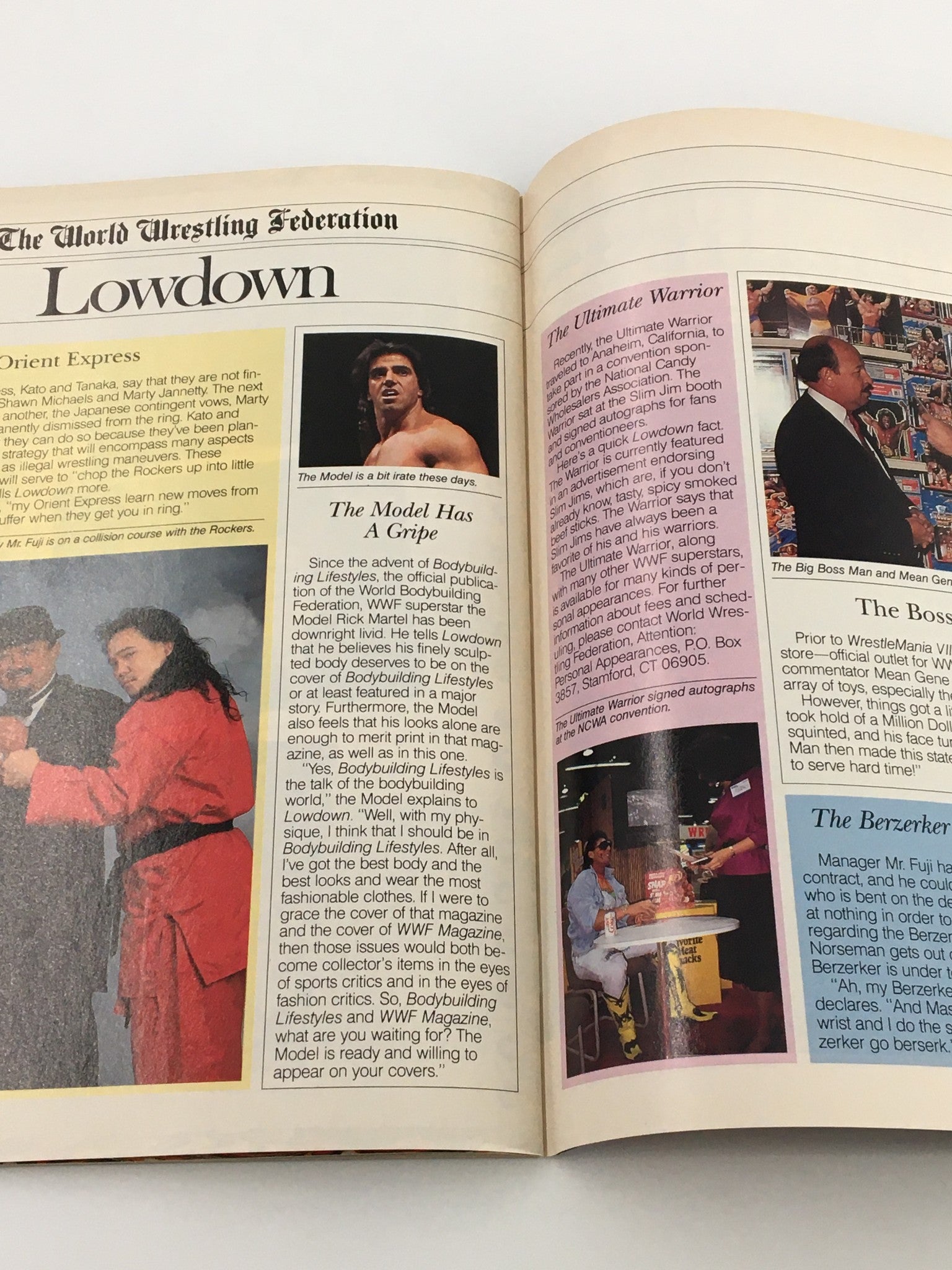 VTG WWF Magazine May 1991 The Undertaker, Hulk Hogan and Rowdy Piper No Label