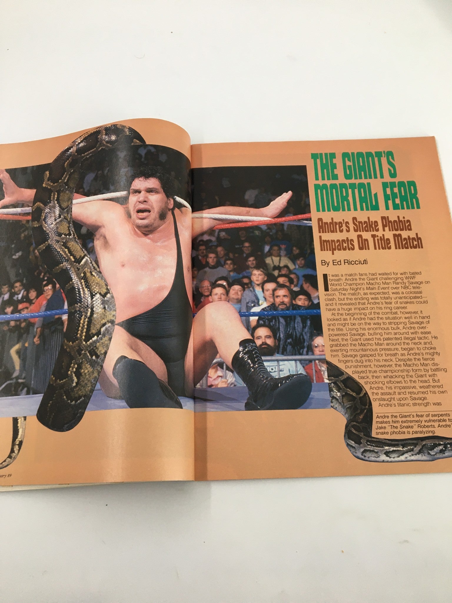 WWF Magazine February 1989 depicting Andre the Giant facing off against a snake, highlighting his well-known fear.