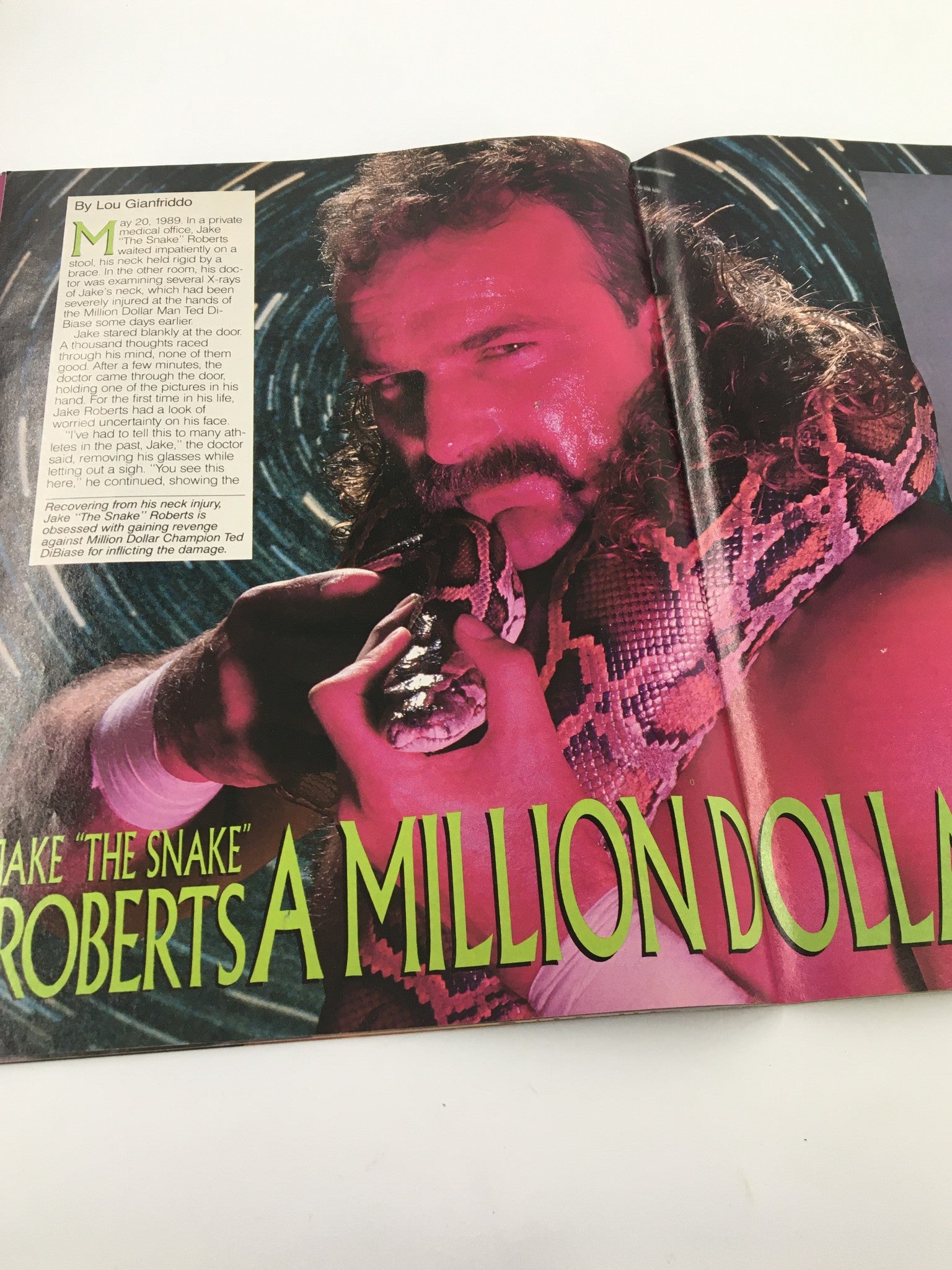 Vintage WWF Magazine December 1989 featuring Jake 'The Snake' Roberts with a snake, showcasing a dramatic wrestling pose.