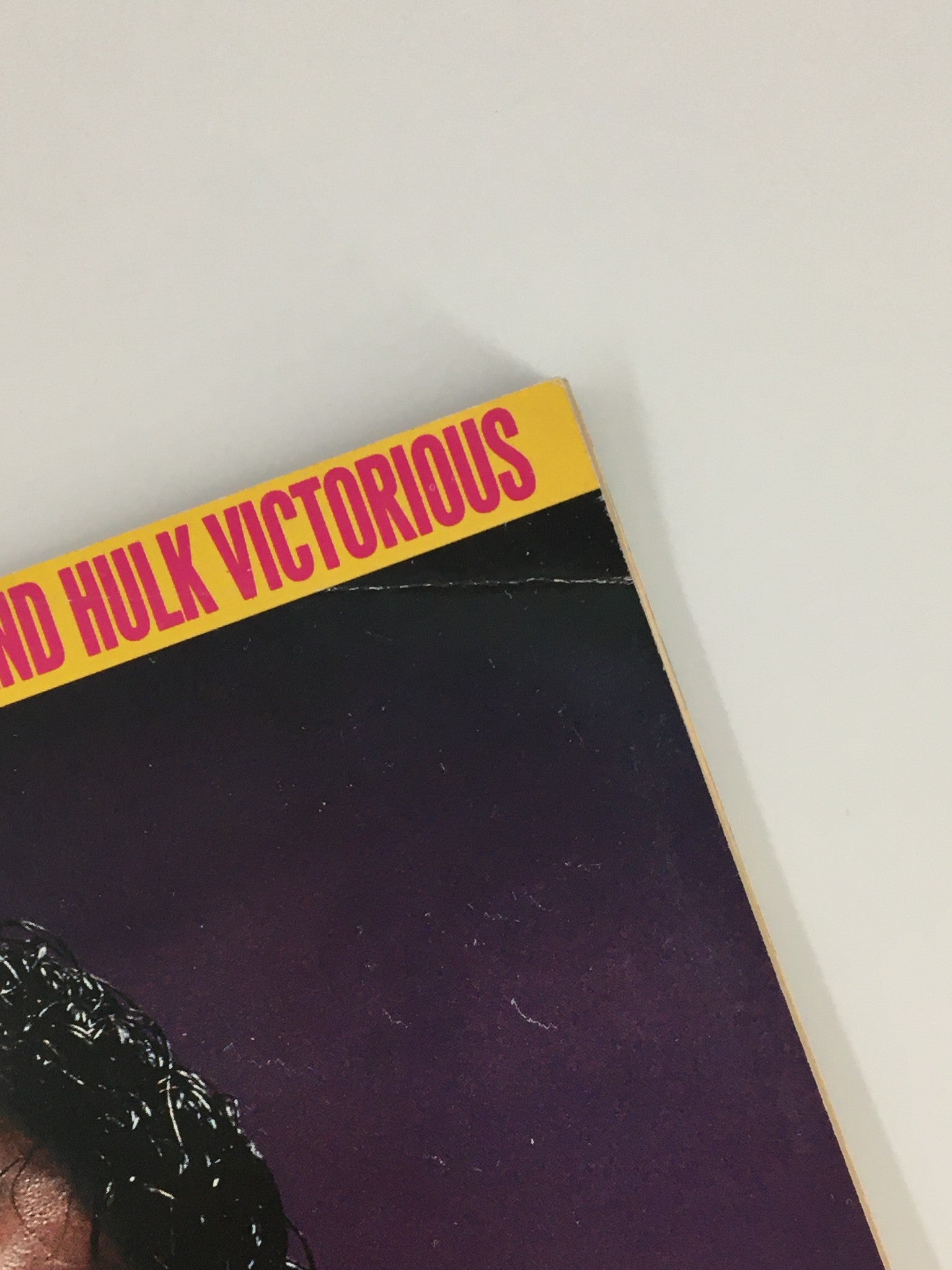 Top section of the cover of VTG WWF Magazine November 1991 displaying the headline 'Wedding Bells Turn to Hell and Hulk Victorious'.