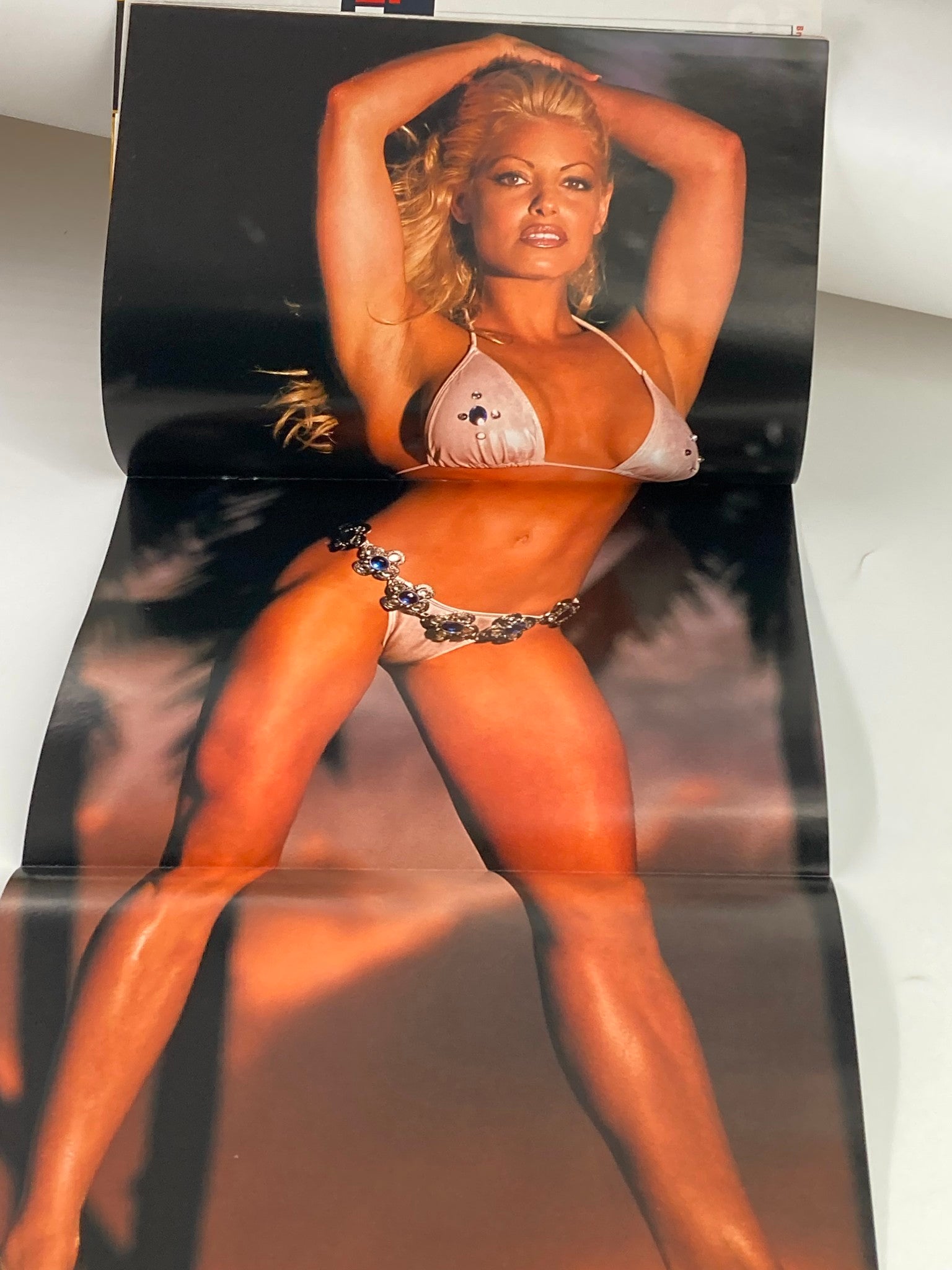 Fold-out poster from WWE Raw Magazine August 2002, featuring a model in a bikini, adding visual interest to the vintage wrestling magazine.