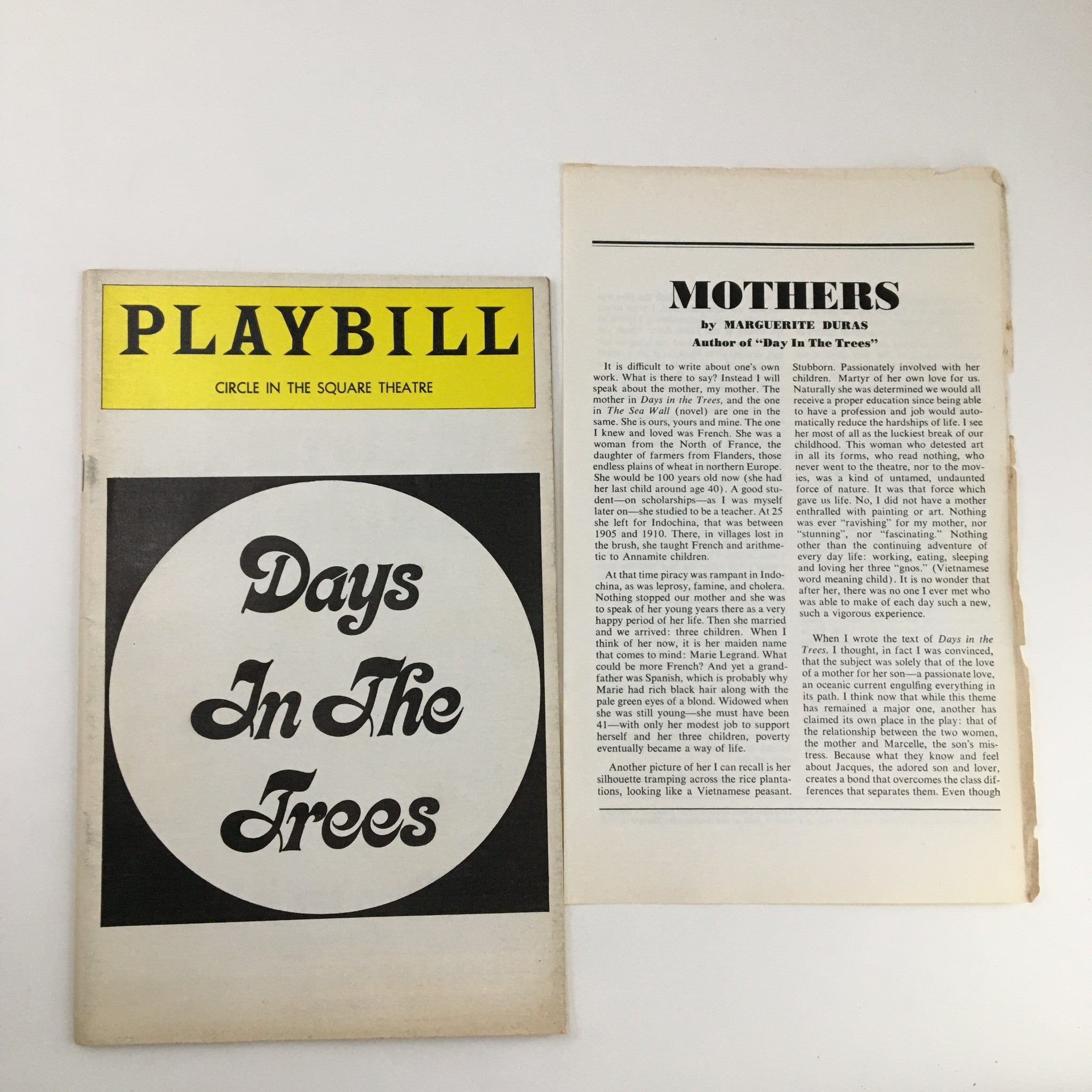 1976 Playbill Circle in the Square Theatre Days in the Trees by Stephen Porter