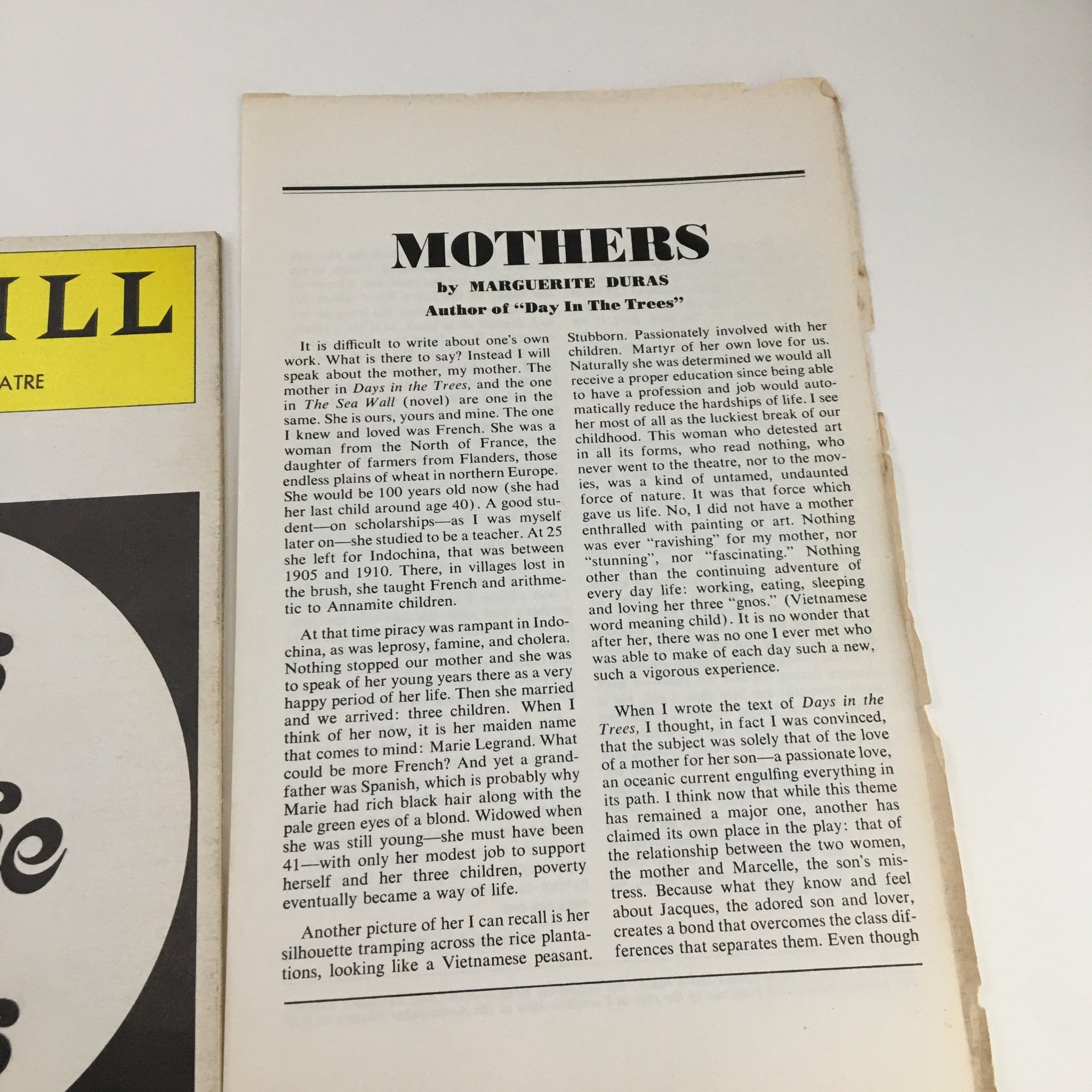 1976 Playbill Circle in the Square Theatre Days in the Trees by Stephen Porter