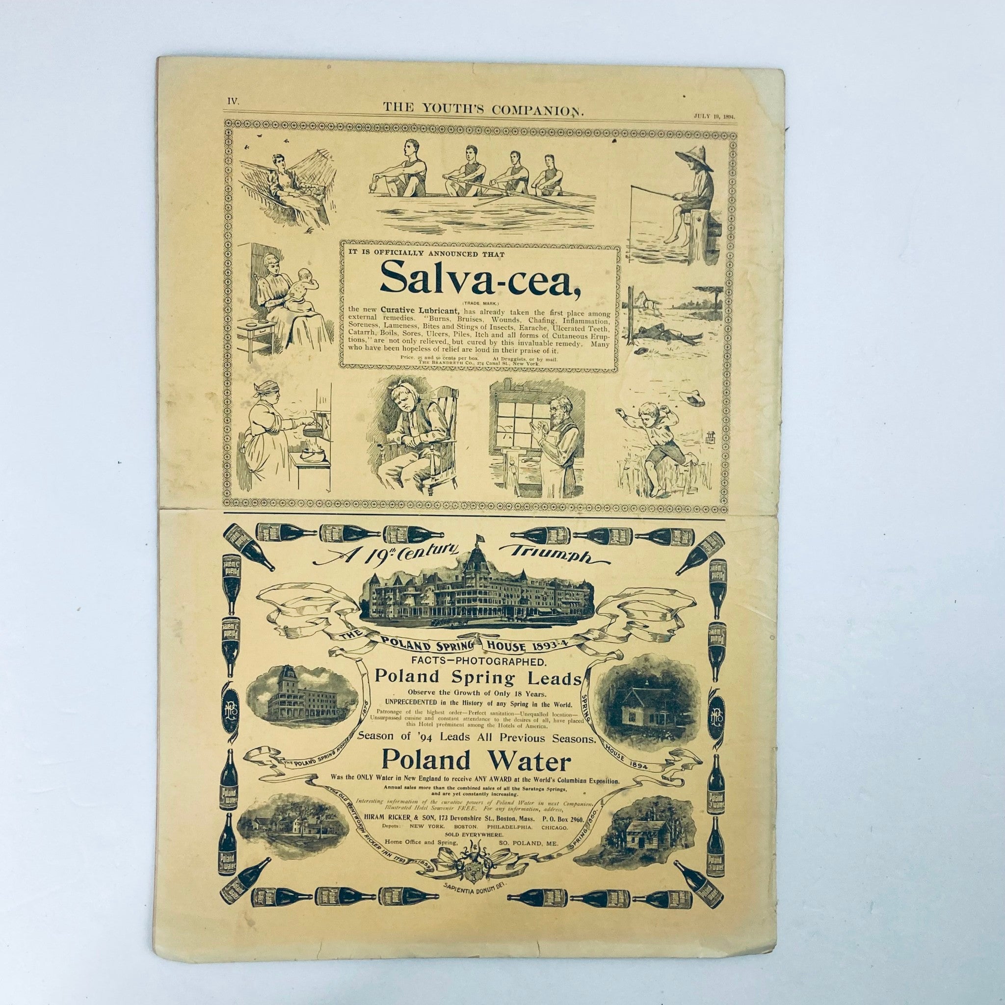 VTG The Youth's Companion Magazine July 19 1894 My Captive Bats No Label