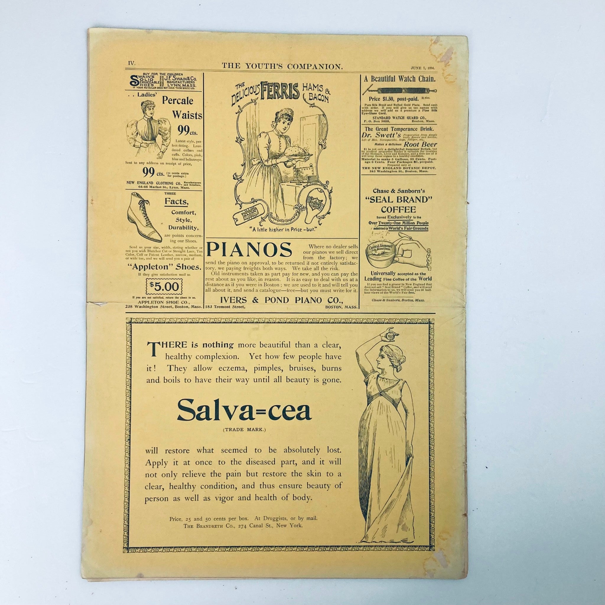 VTG The Youth's Companion Magazine June 7 1894 Tramping and Camping No Label