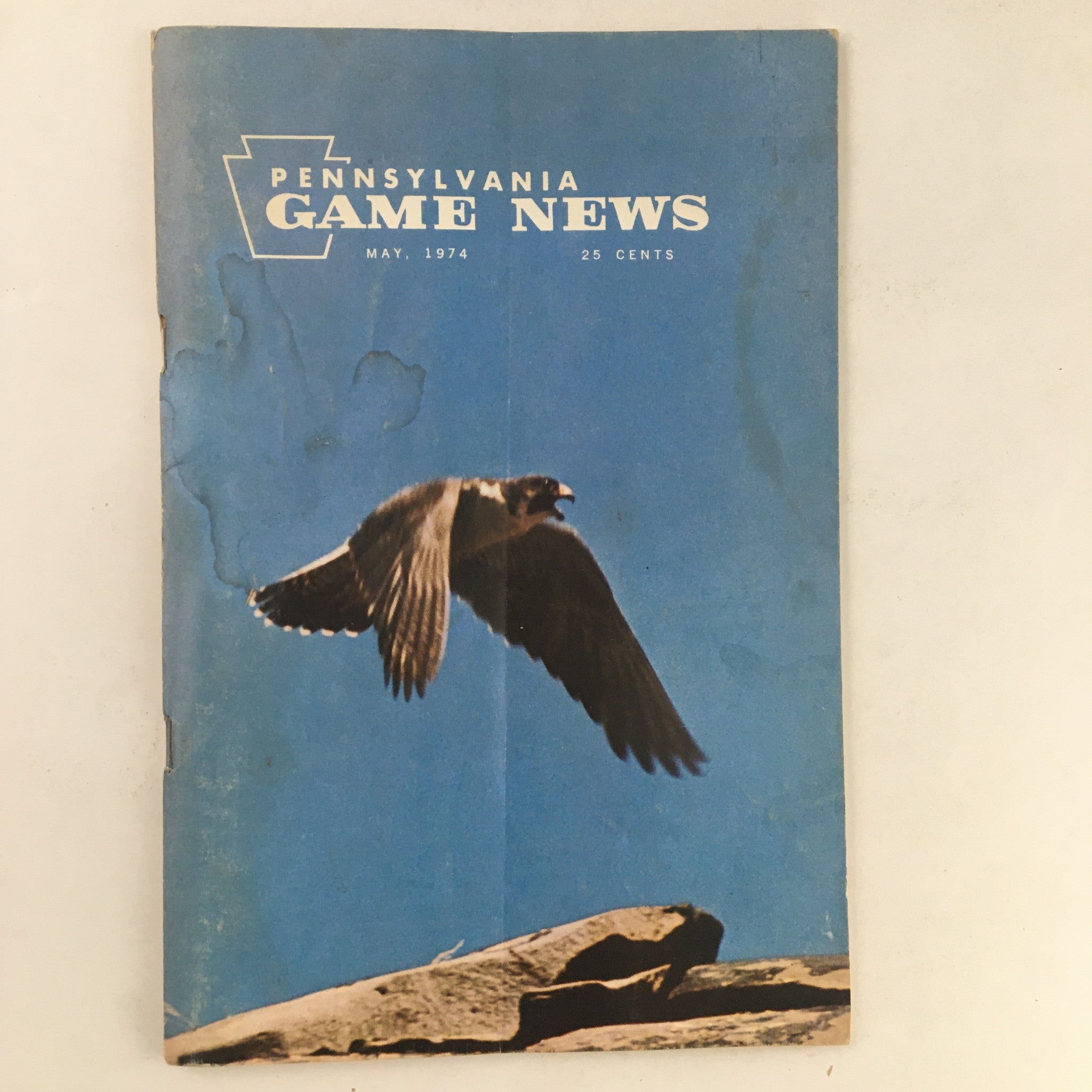 Pennsylvania Game News May 1974 The Purple Martin-Insecticide on Wings