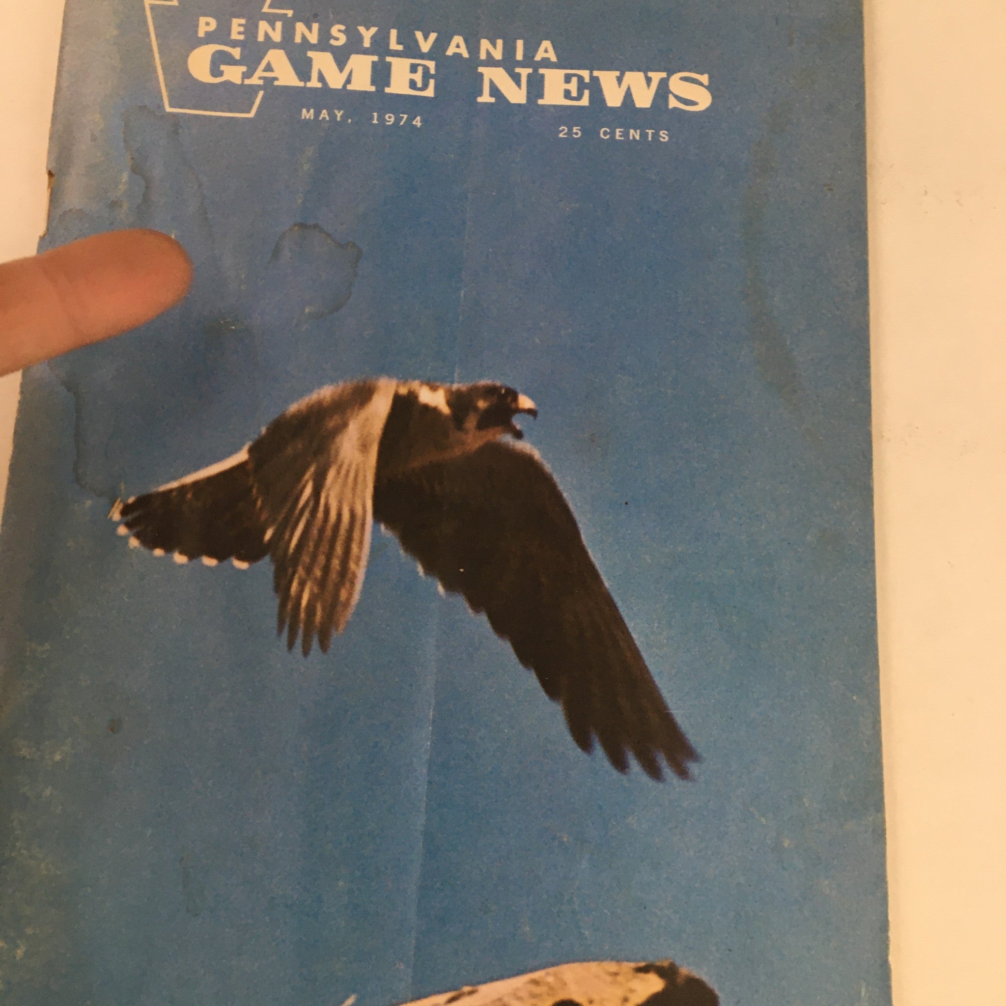 Pennsylvania Game News May 1974 The Purple Martin-Insecticide on Wings