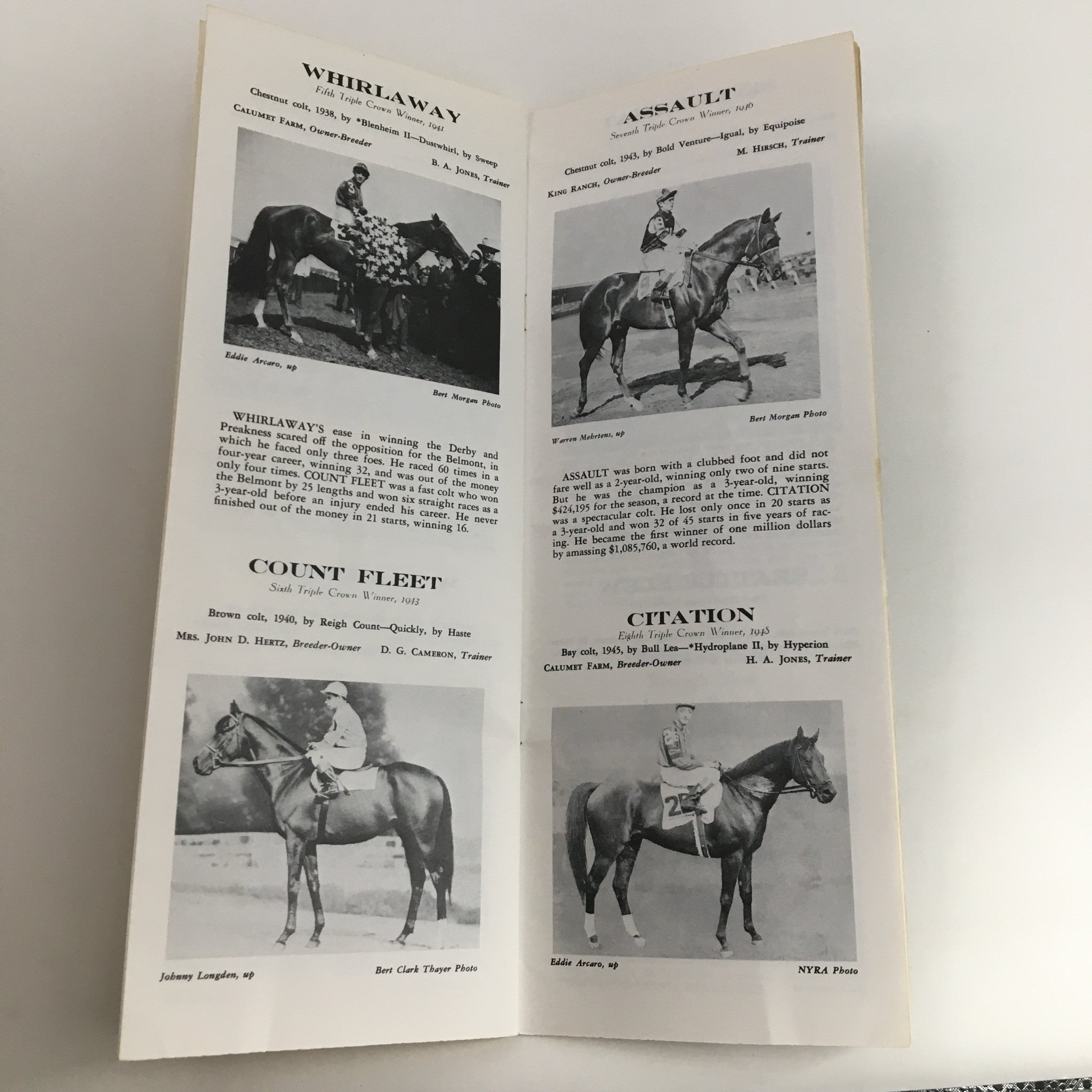 1981 Pimlico The Preakness 106th Running Official Souvenir Program