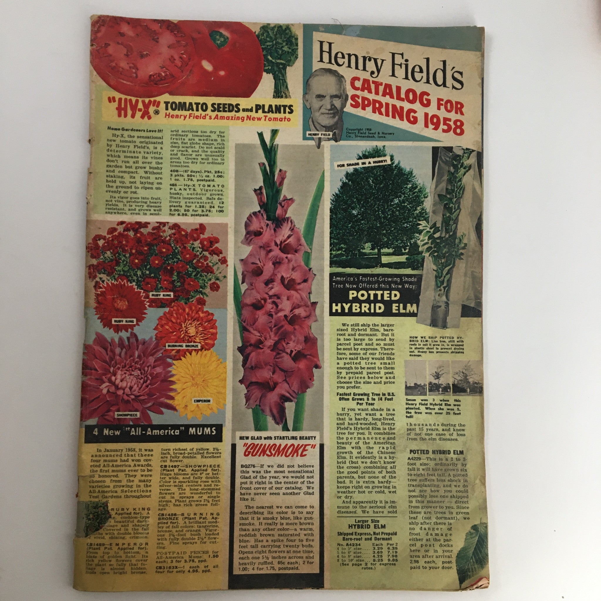 Cover of Henry Field's Tomato Seeds and Plants Catalog for Spring of 1958, featuring various tomato varieties and vibrant illustrations, showcasing gardening trends from the 1950s.