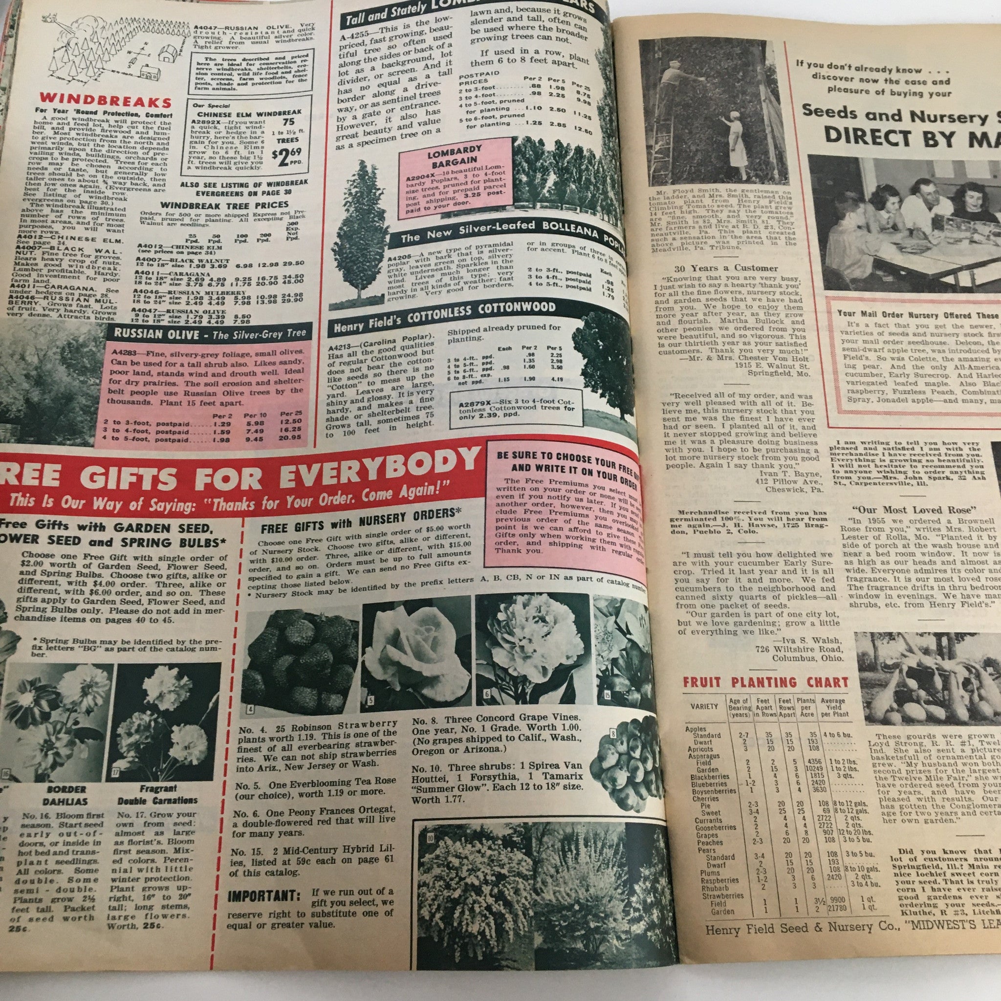 Colorful page from Henry Field's Tomato Seeds and Plants Catalog for Spring of 1958 detailing windbreak plants and nursery services with a planting chart.