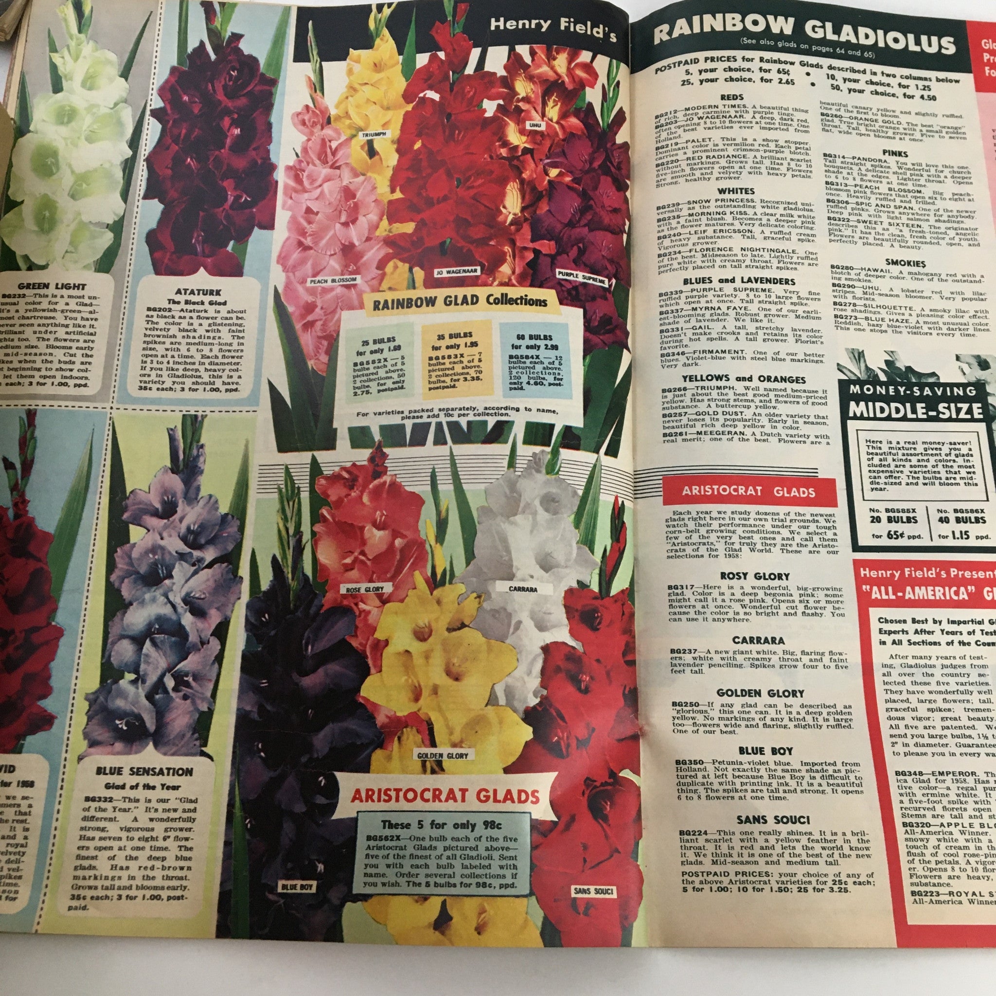 Vibrant page from Henry Field's Tomato Seeds and Plants Catalog for Spring of 1958 displaying a variety of gladiolus collections with pricing information.