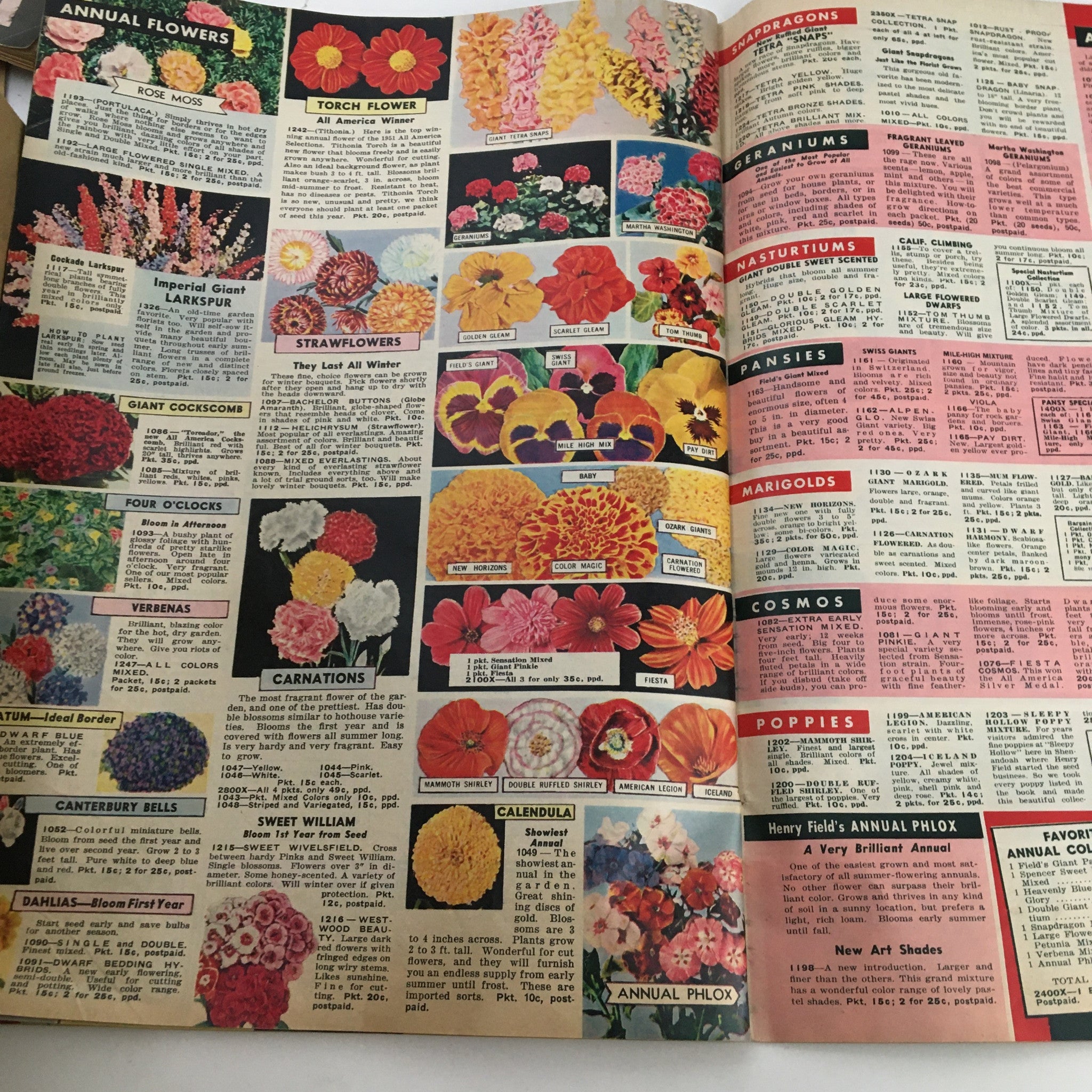 Henry Field's Tomato Seeds and Plants Catalog for Spring of 1958 featuring colorful illustrations of annual flowers including Torch Flower, Strawflowers, Carnations, and Marigolds.